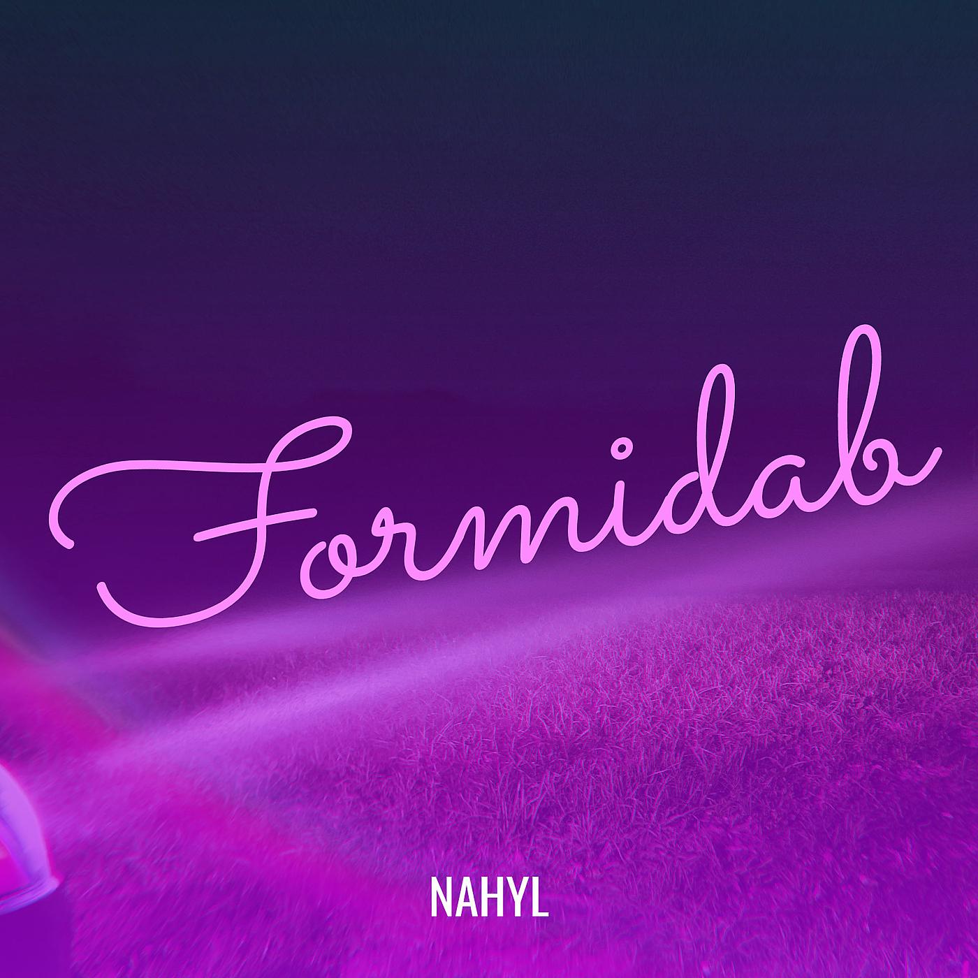 Постер альбома Formidab