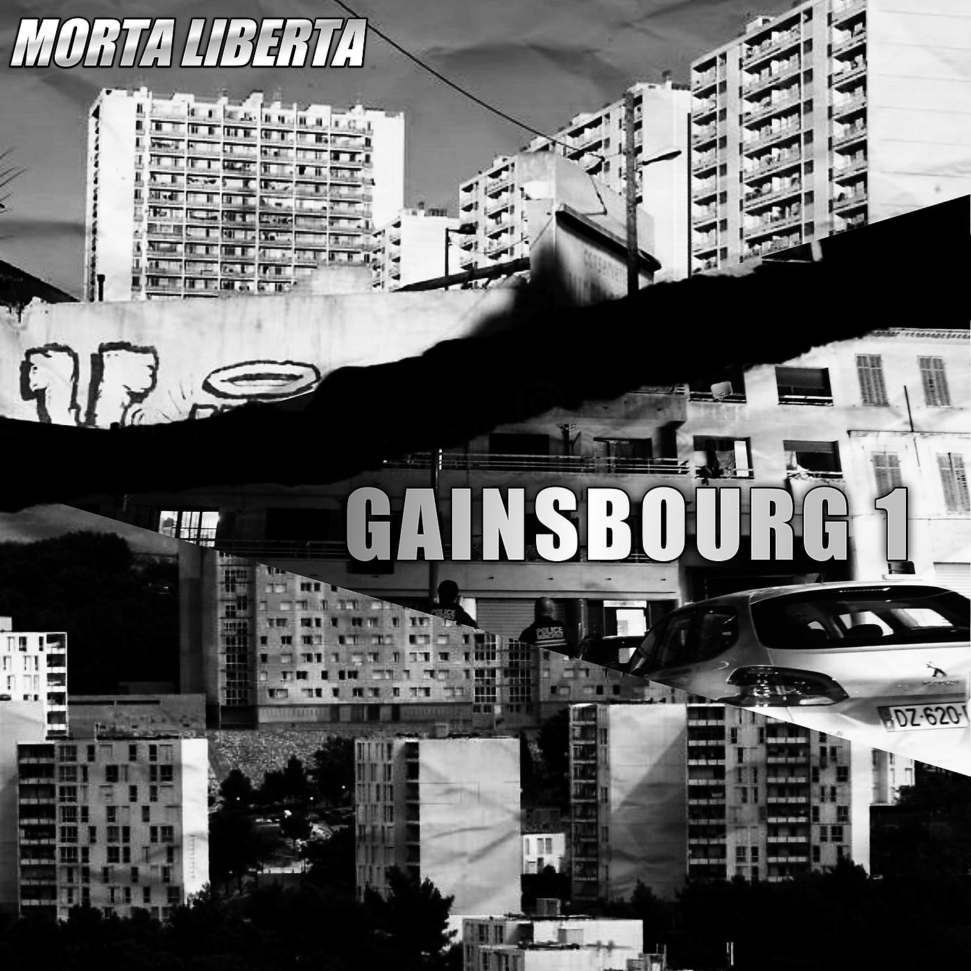 Постер альбома Gainsbourg 1