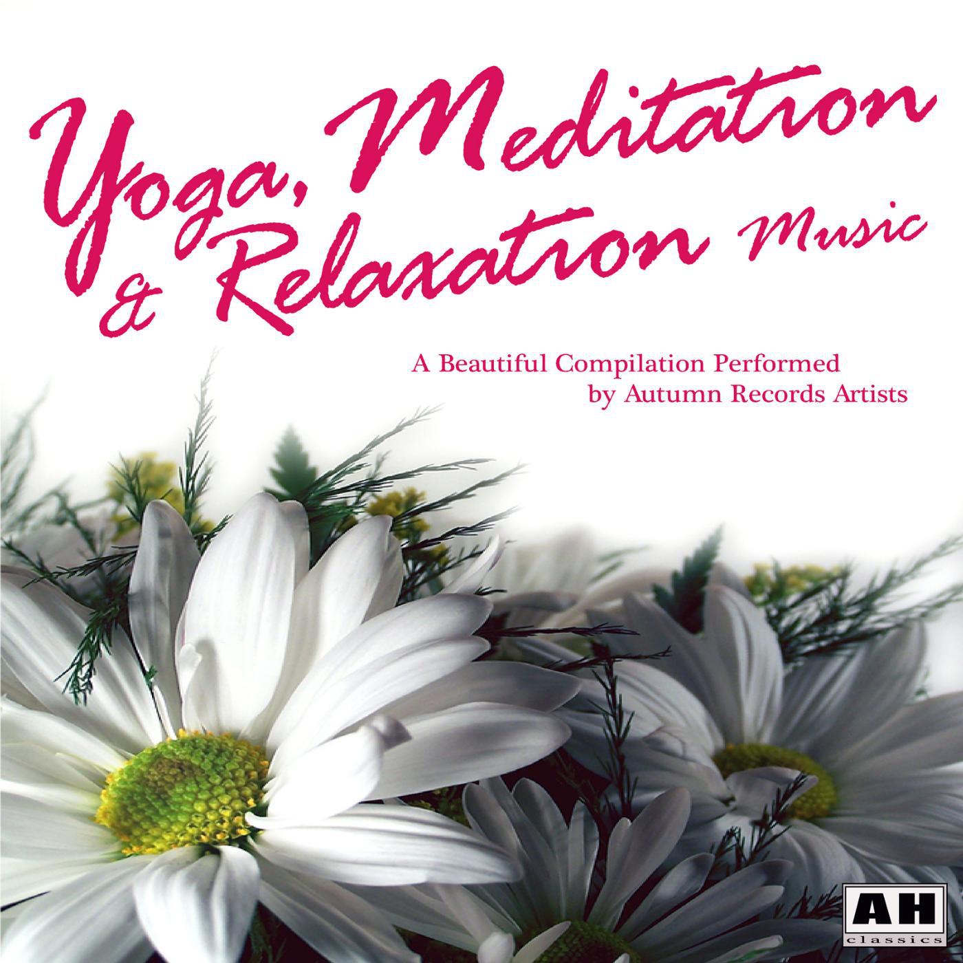 Постер альбома Yoga, Meditation and Relaxation Music