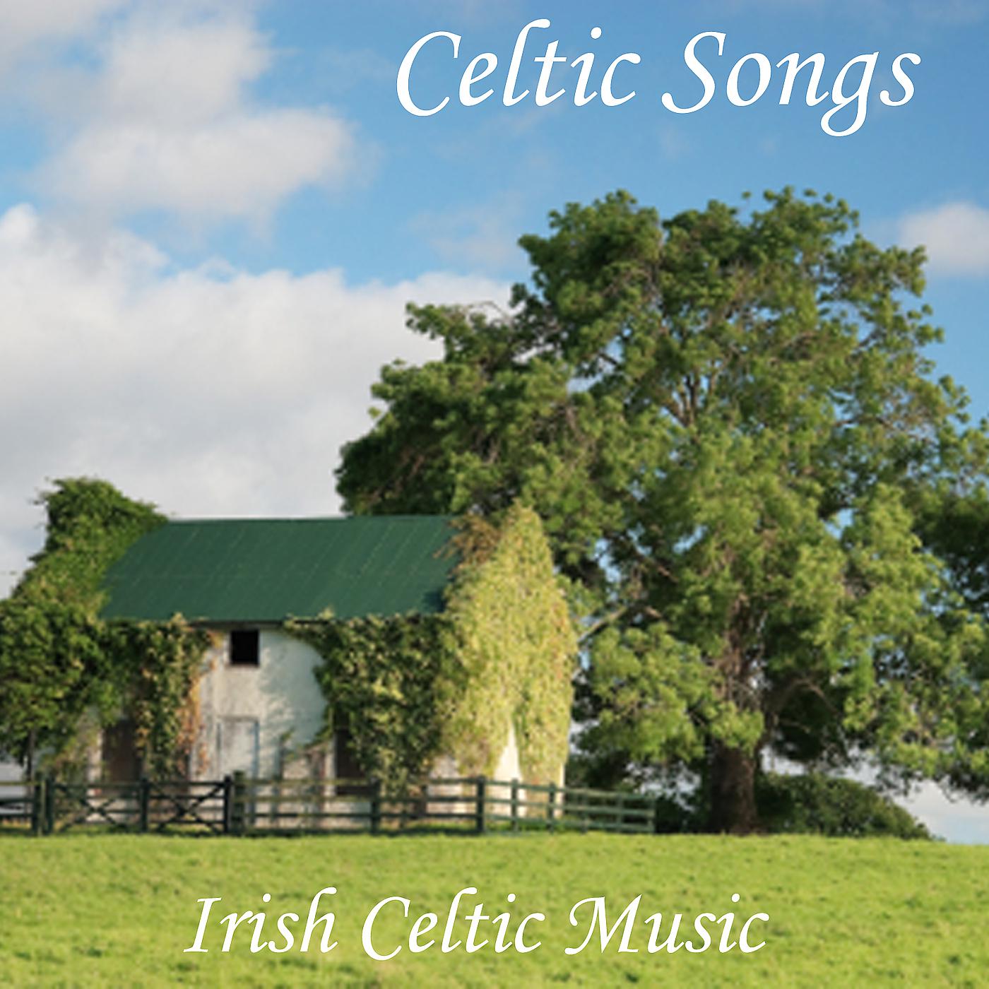 Постер альбома Celtic Songs - Irish Celtic Music