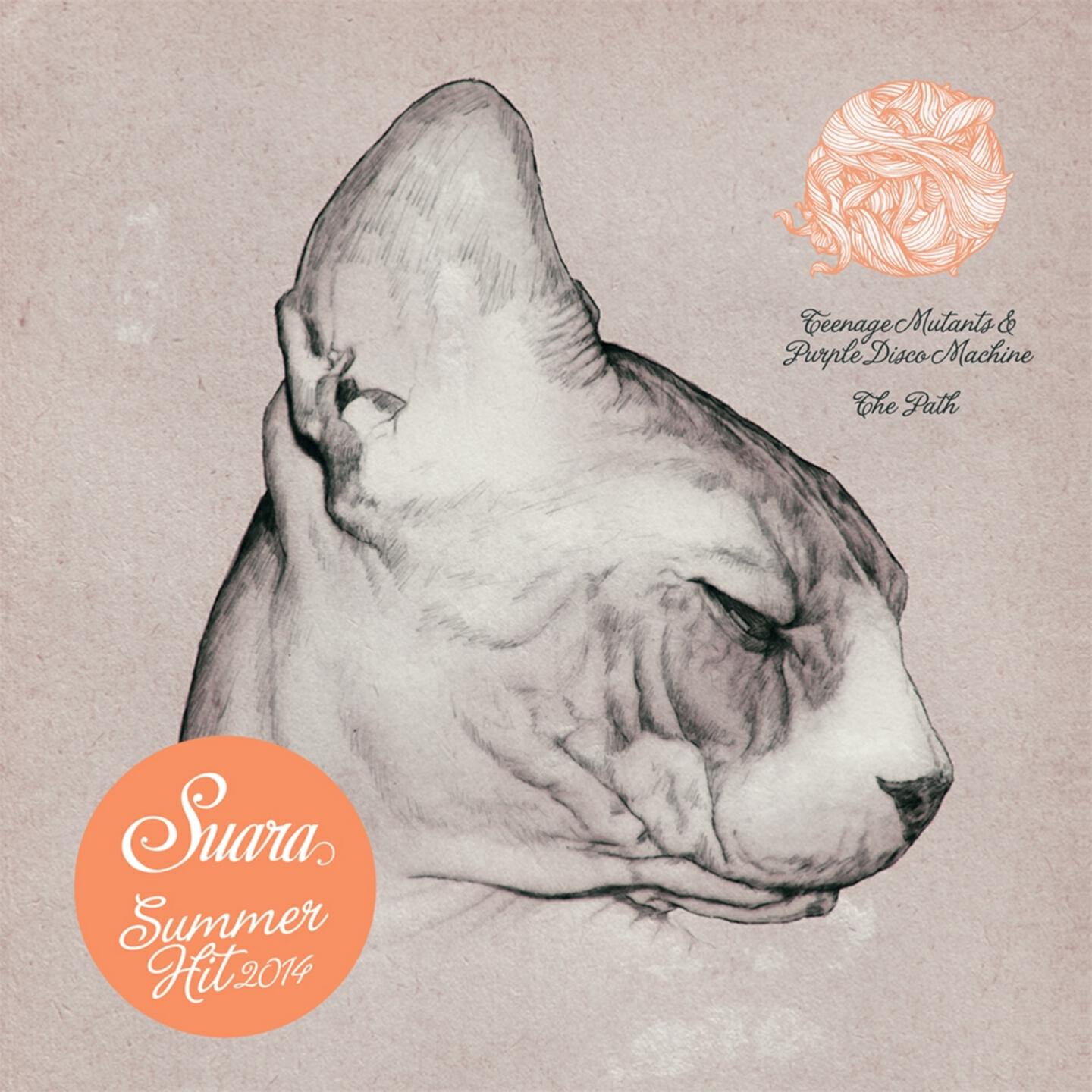Teenage Mutants - The Path (Suara Summer Hit 2014)