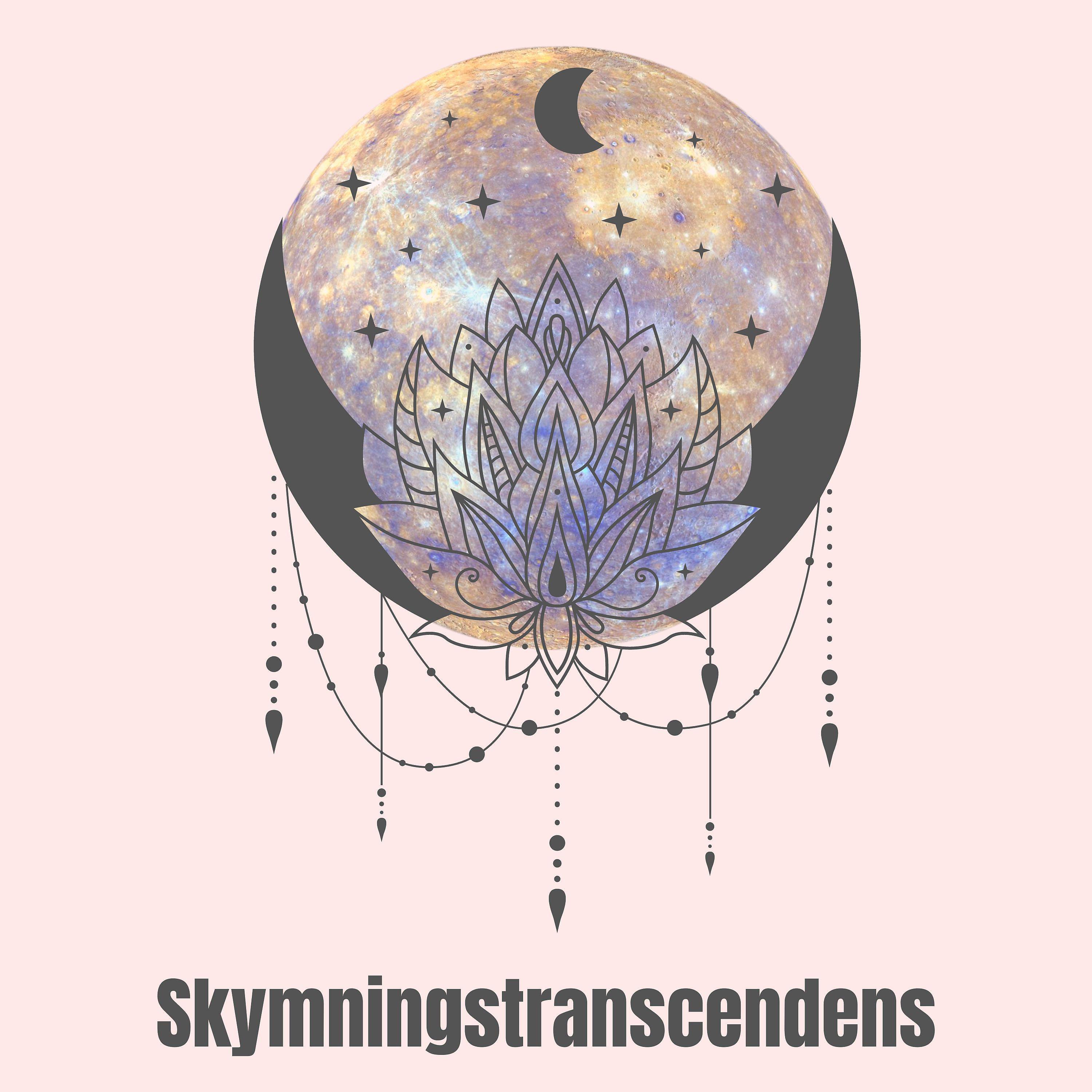 Постер альбома Skymningstranscendens