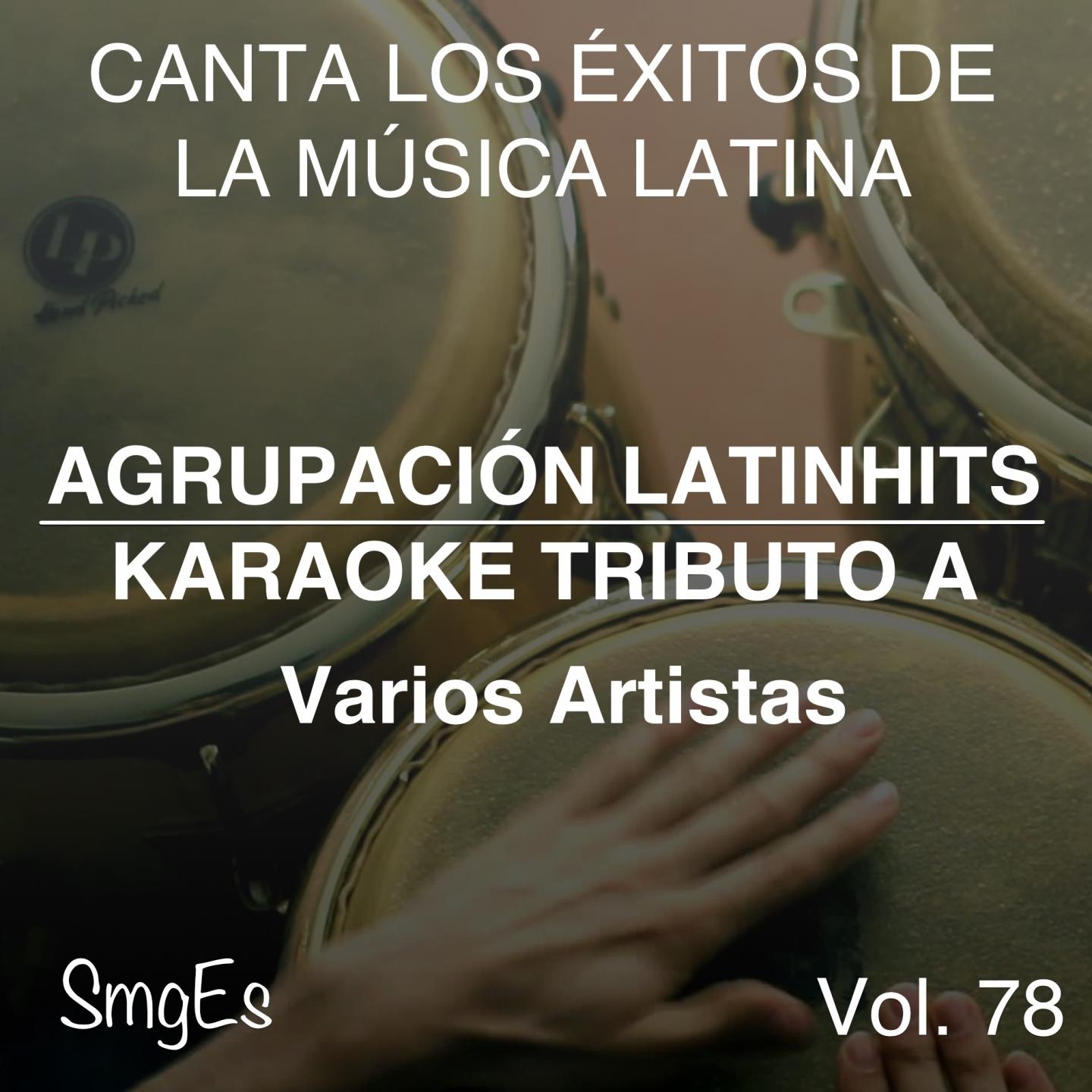 Постер альбома Instrumental Karaoke Series: Varios Artistas, Vol. 78