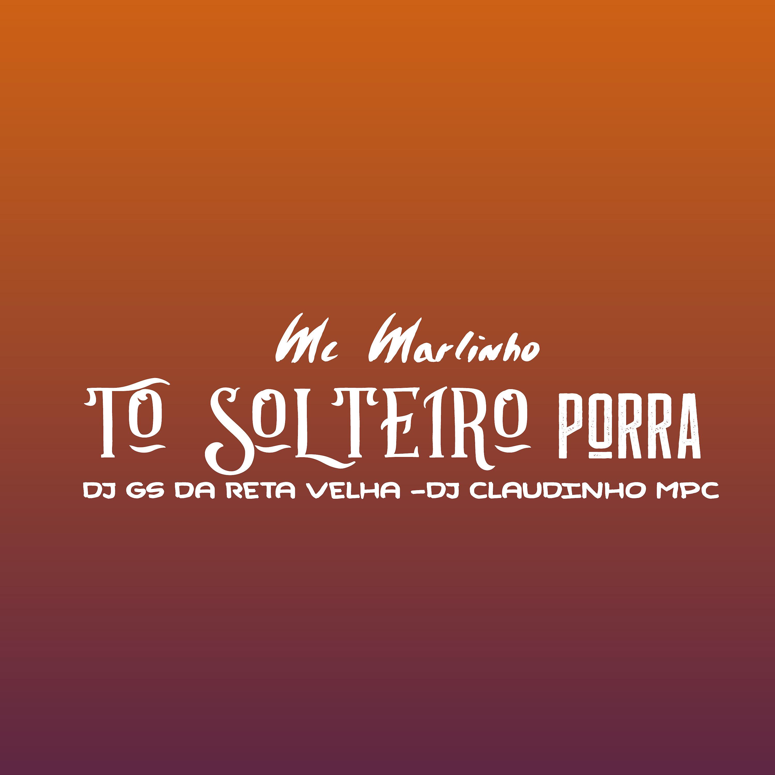 Постер альбома To Solteiro Porra