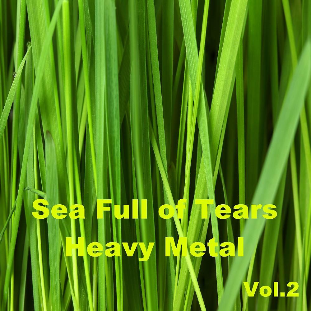 Постер альбома Sea Full of Tears / Heavy Metal, Vol. 2
