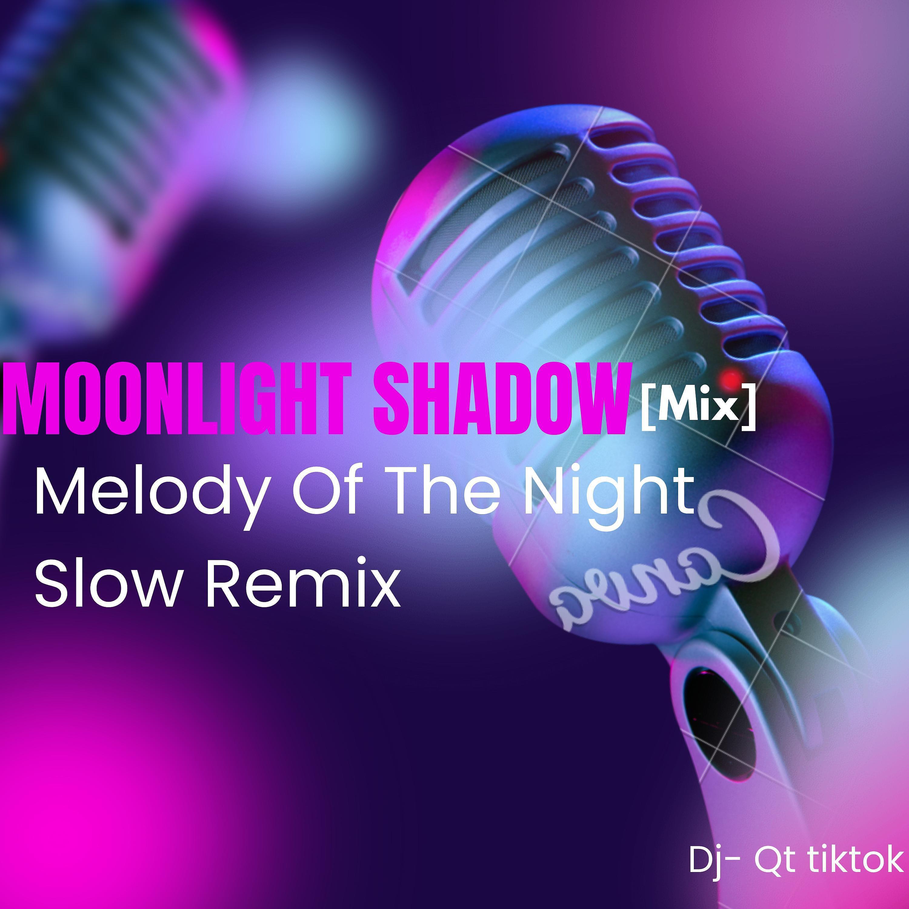 Постер альбома Moonlight Shadow mix Melody Of The Night slow Remix