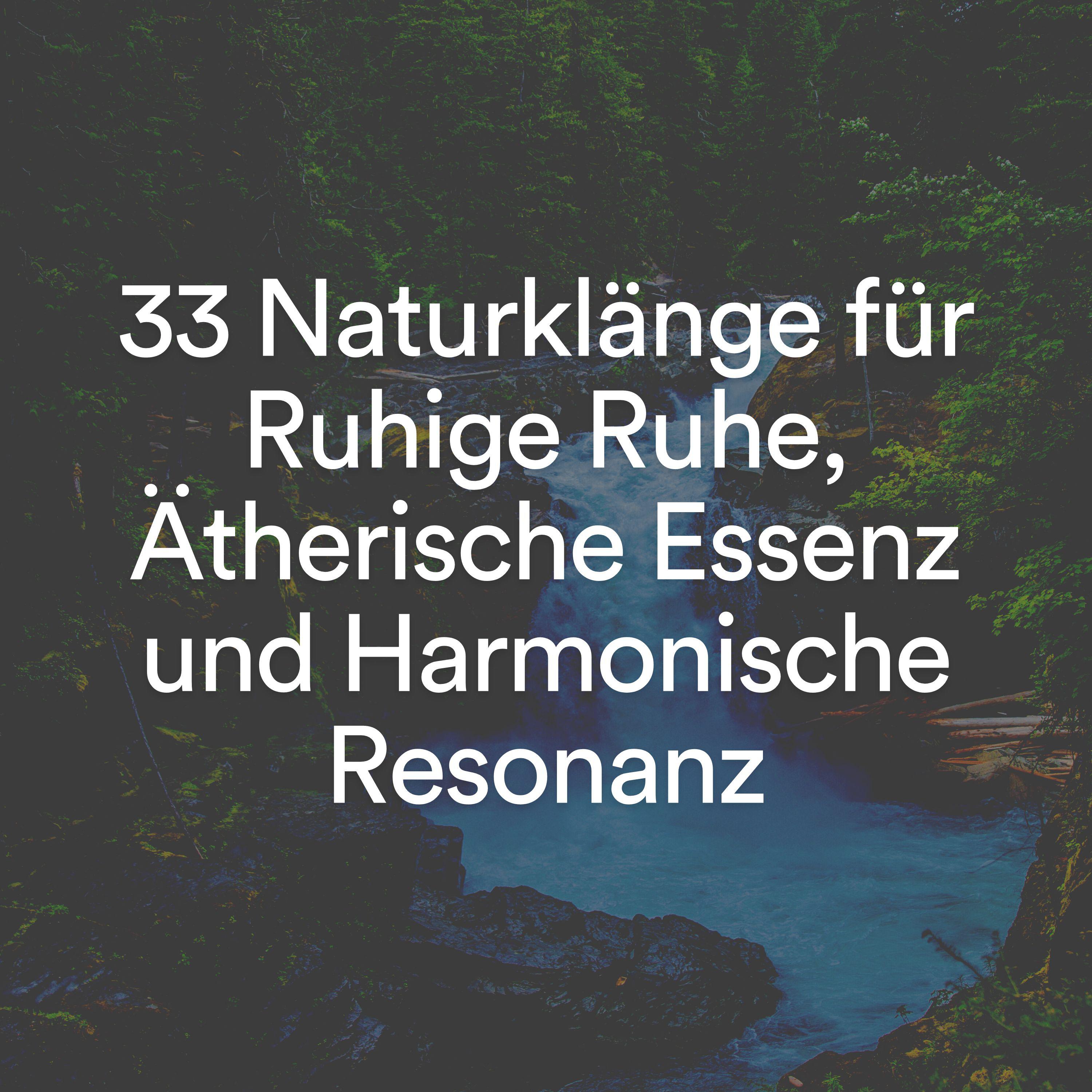 Постер альбома 33 Naturklänge für Ruhige Ruhe, Ätherische Essenz und Harmonische Resonanz