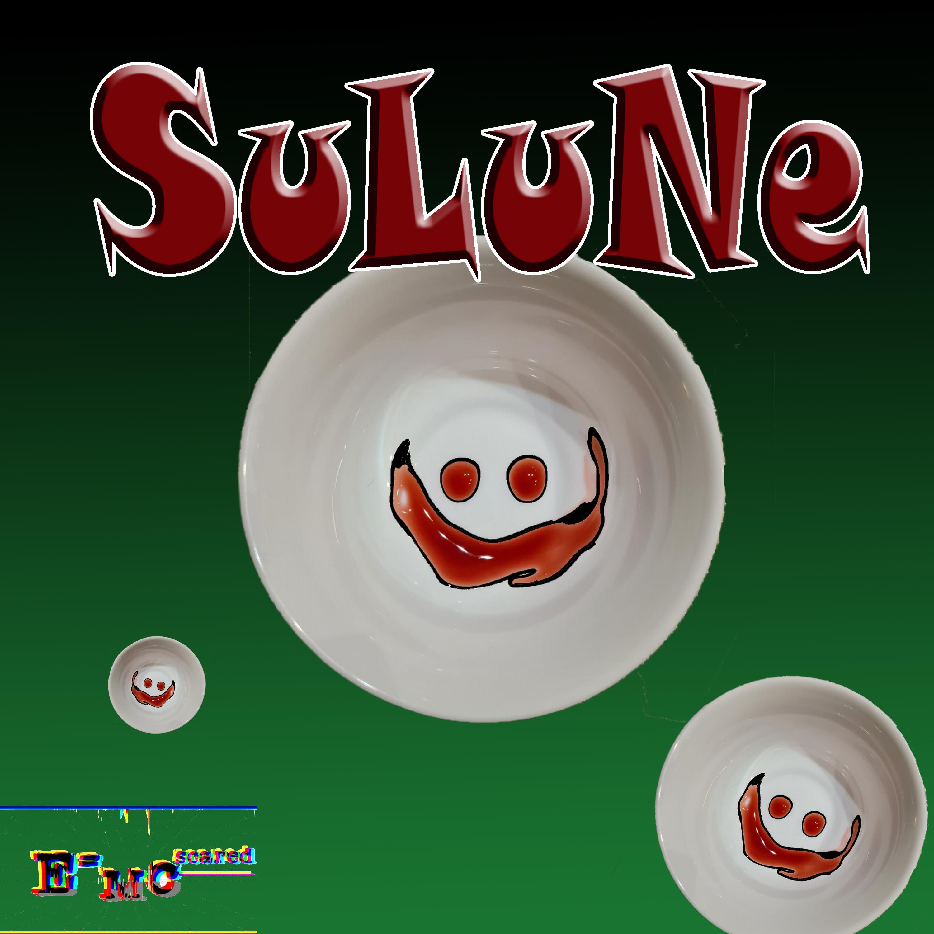 Постер альбома Sulune