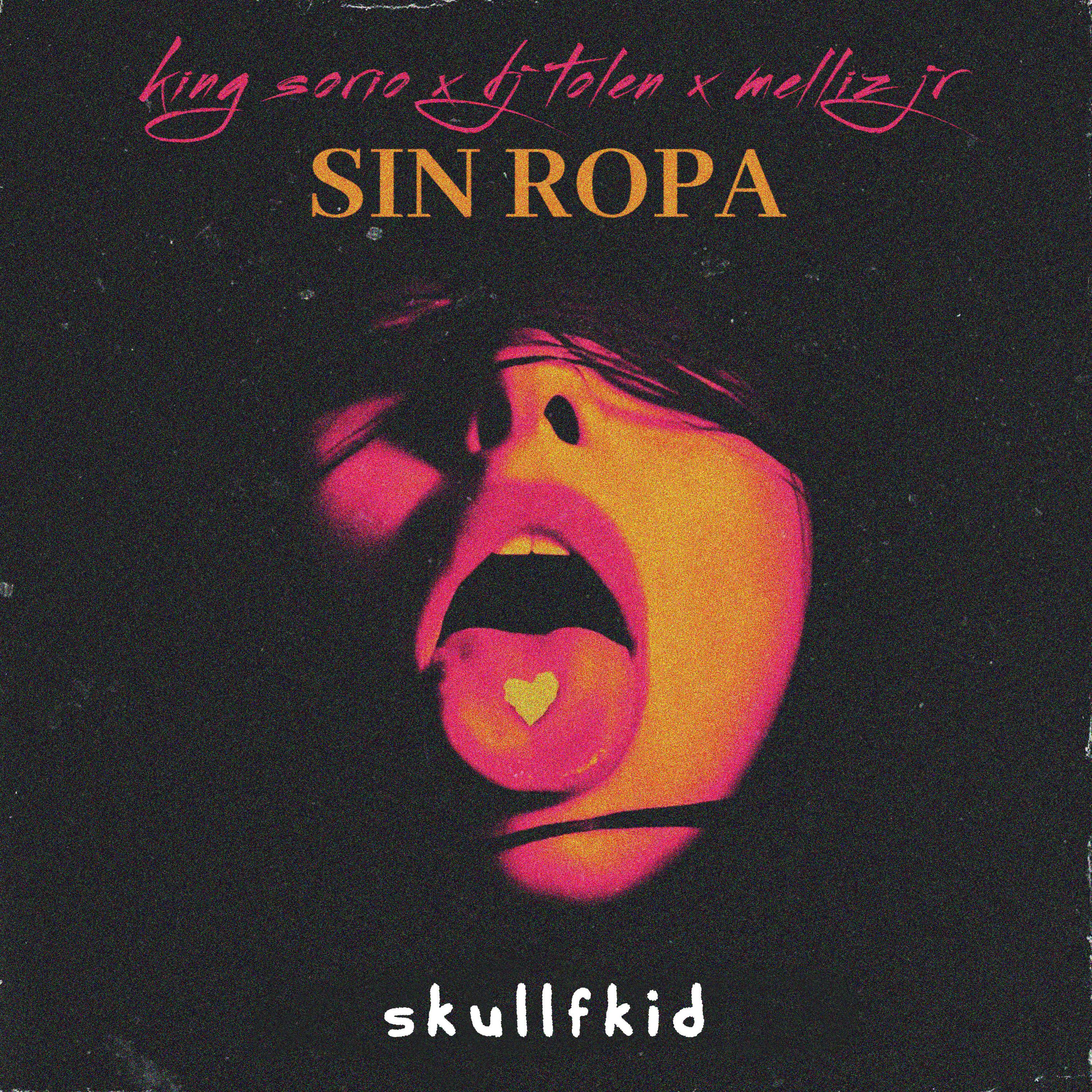 Постер альбома Sin Ropa