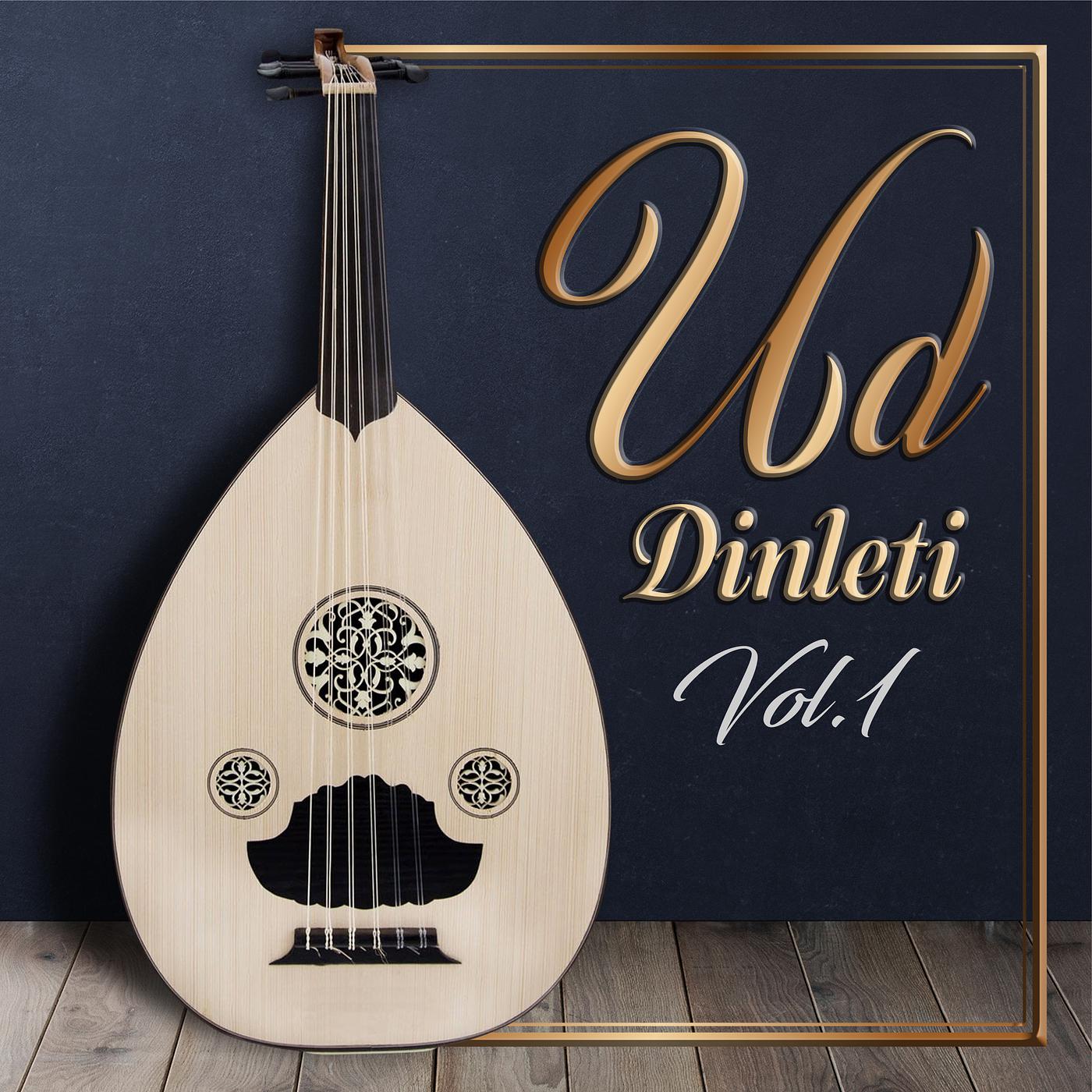 Постер альбома Ud Dinleti Vol.1