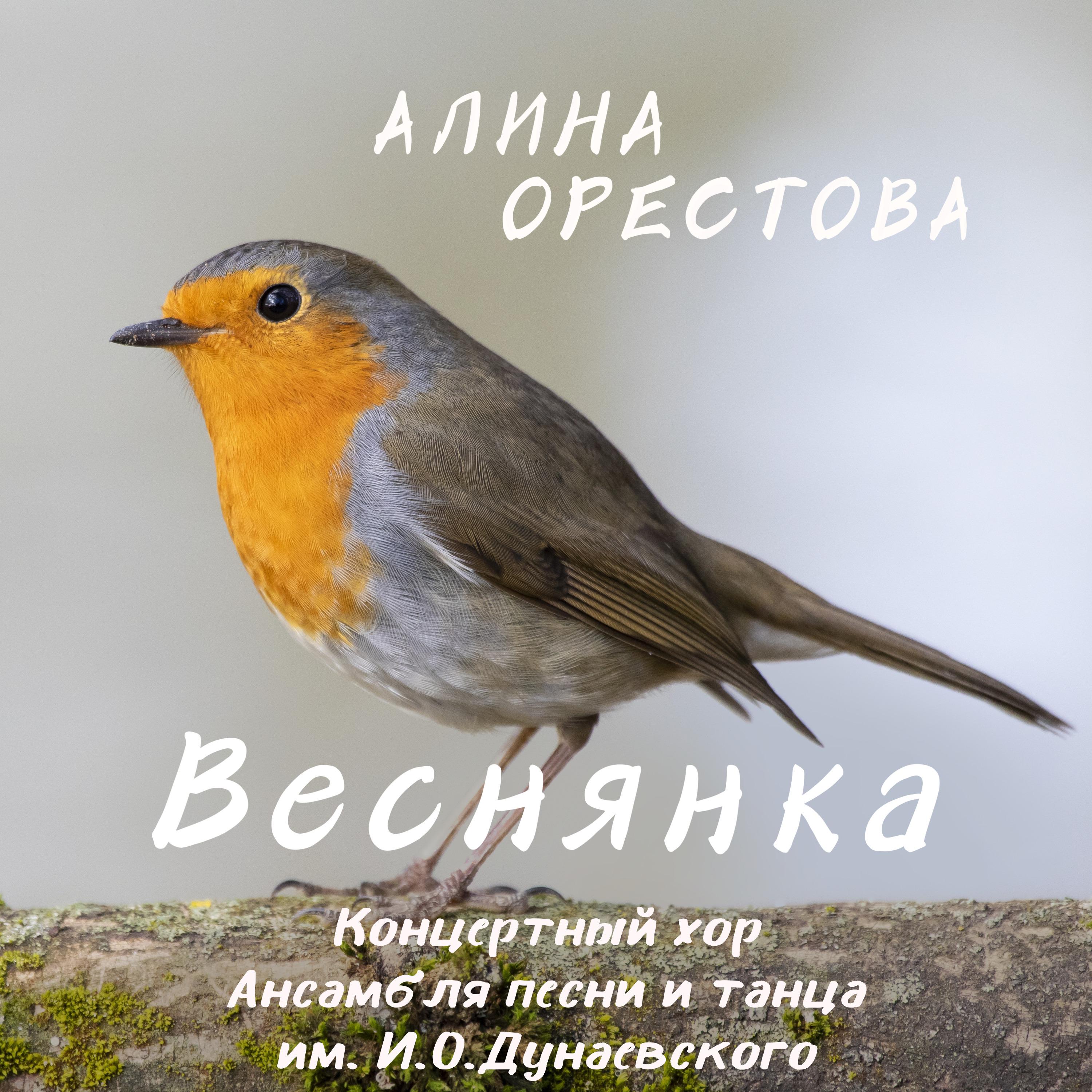 Постер альбома Веснянка
