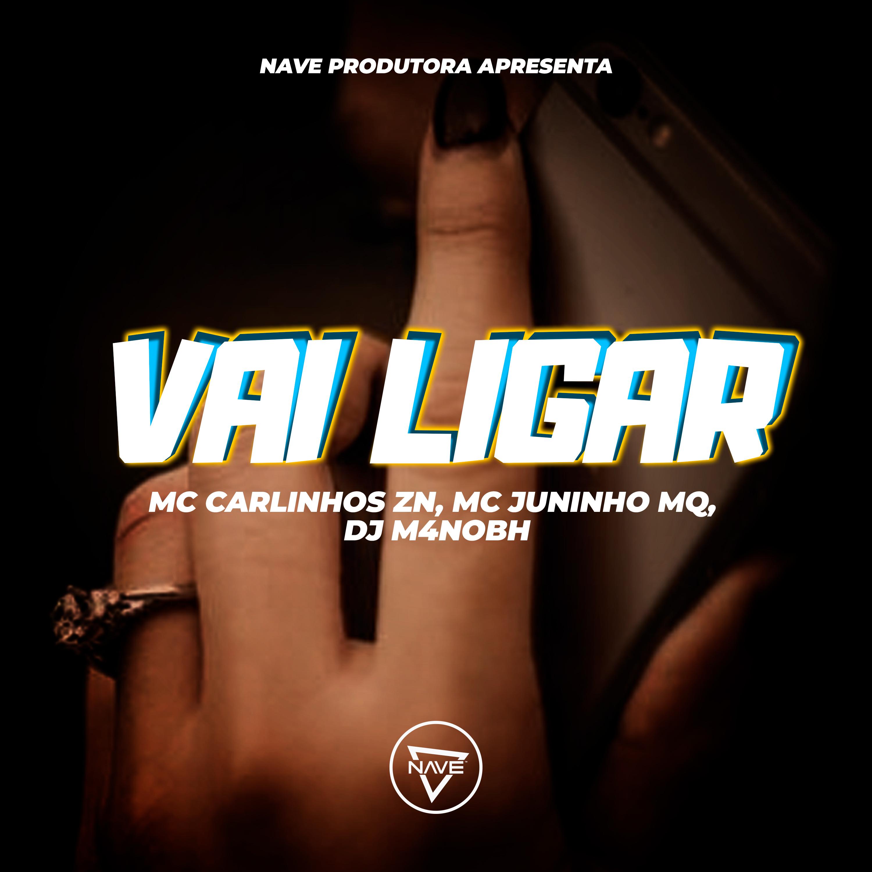 Постер альбома Vai Ligar