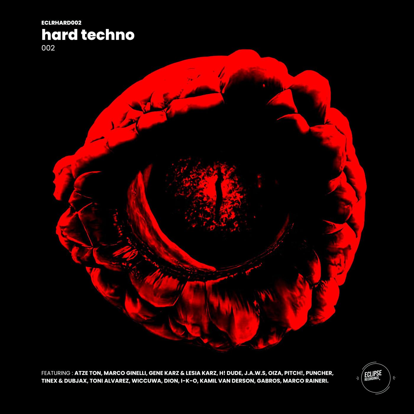 Постер альбома Hard Techno 002