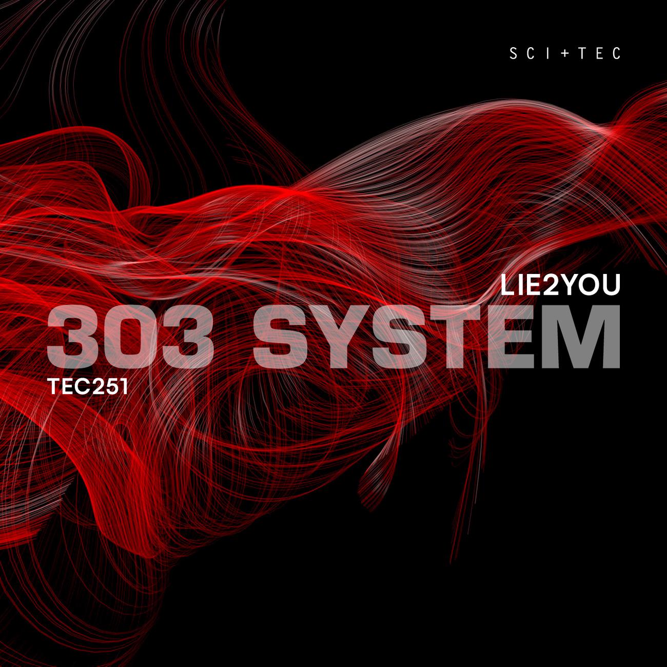 Постер альбома 303 System