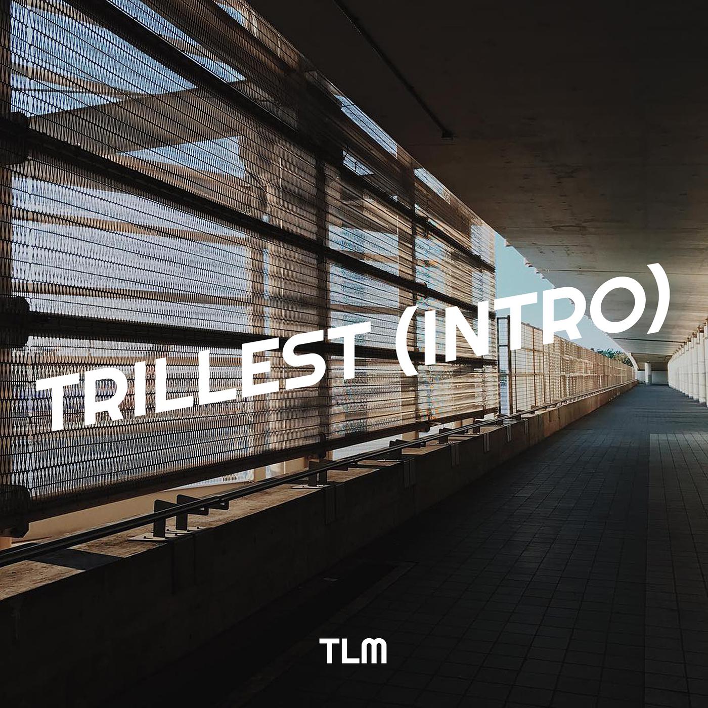 Постер альбома Trillest (Intro)