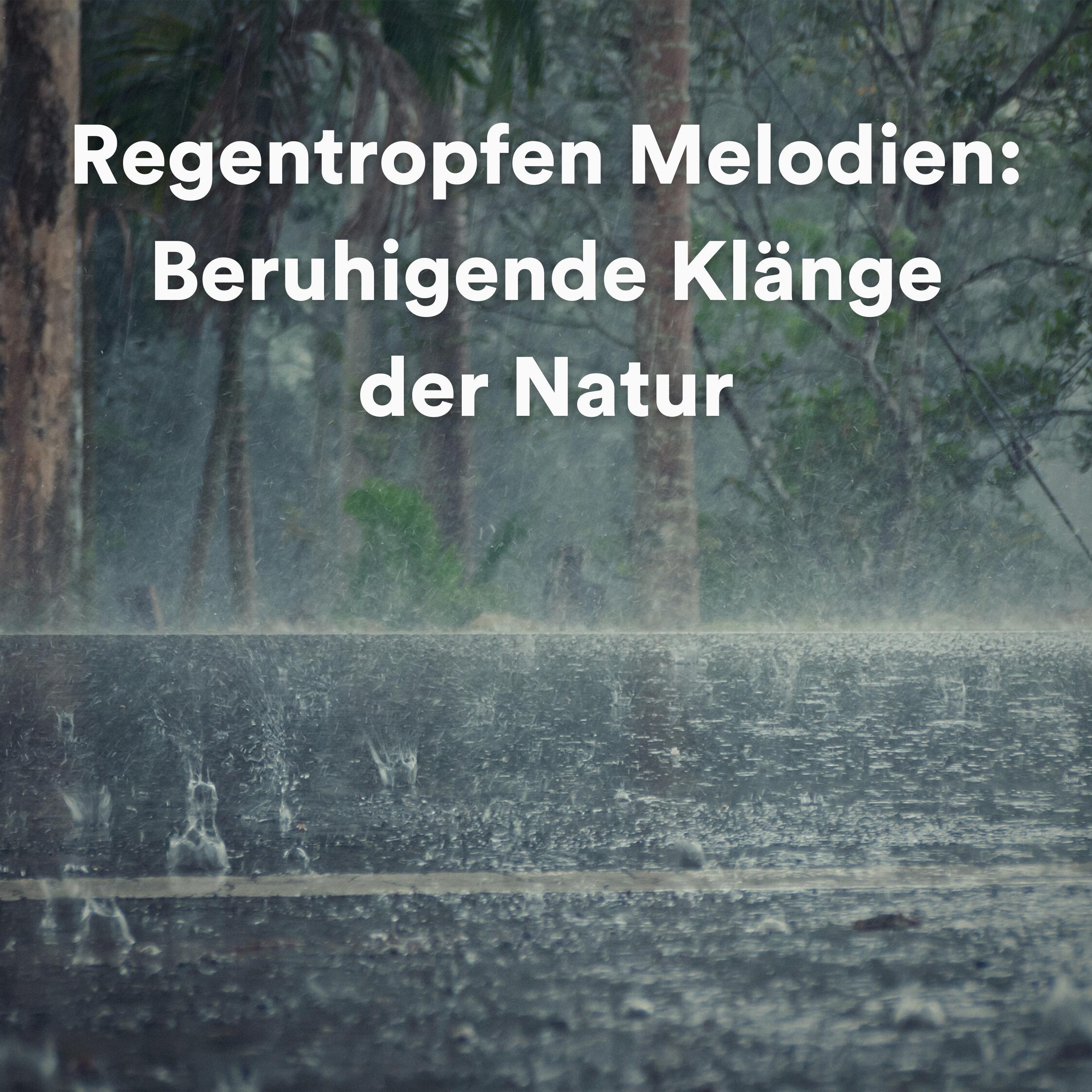 Постер альбома Regentropfen Melodien: Beruhigende Klänge der Natur