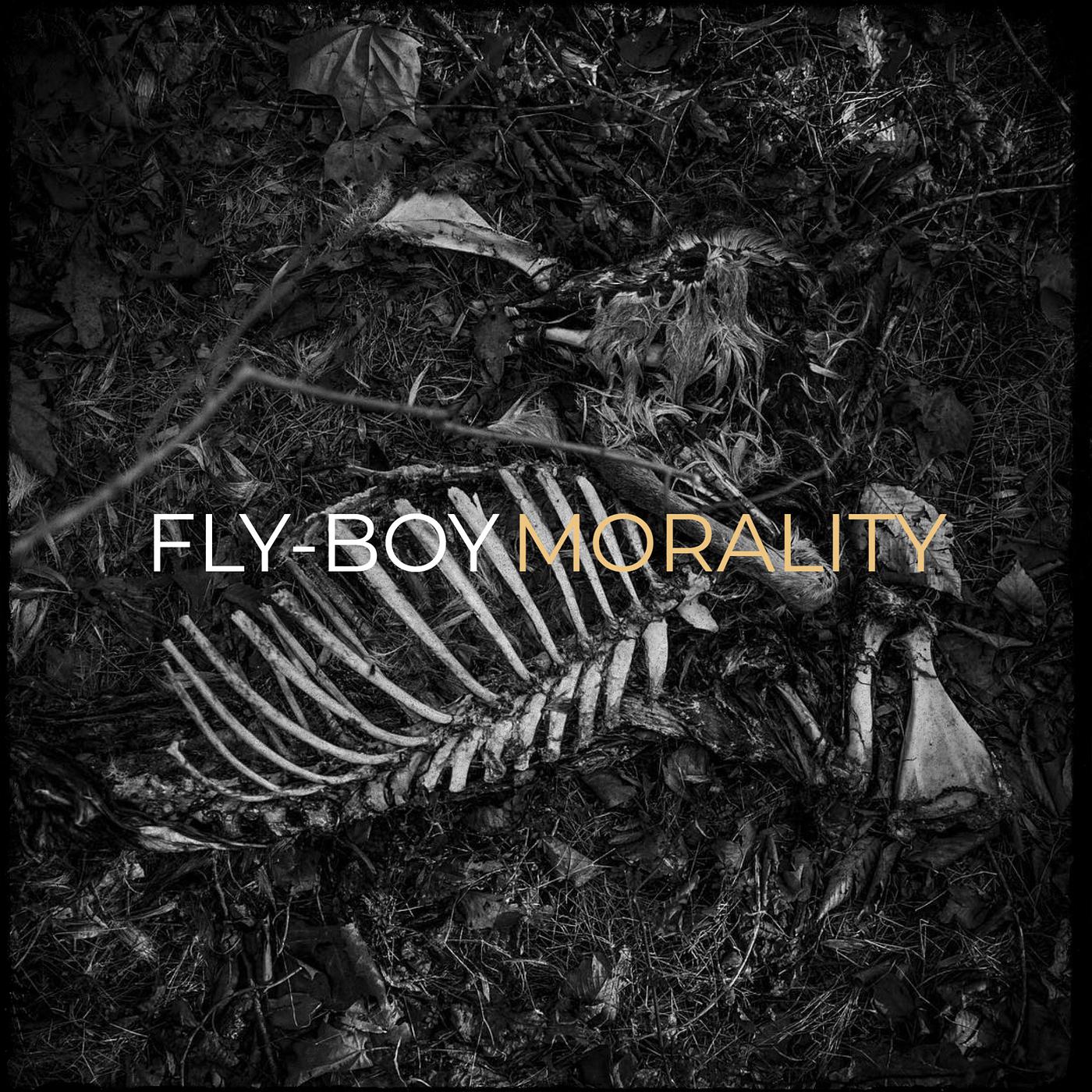 Постер альбома Fly-Boy