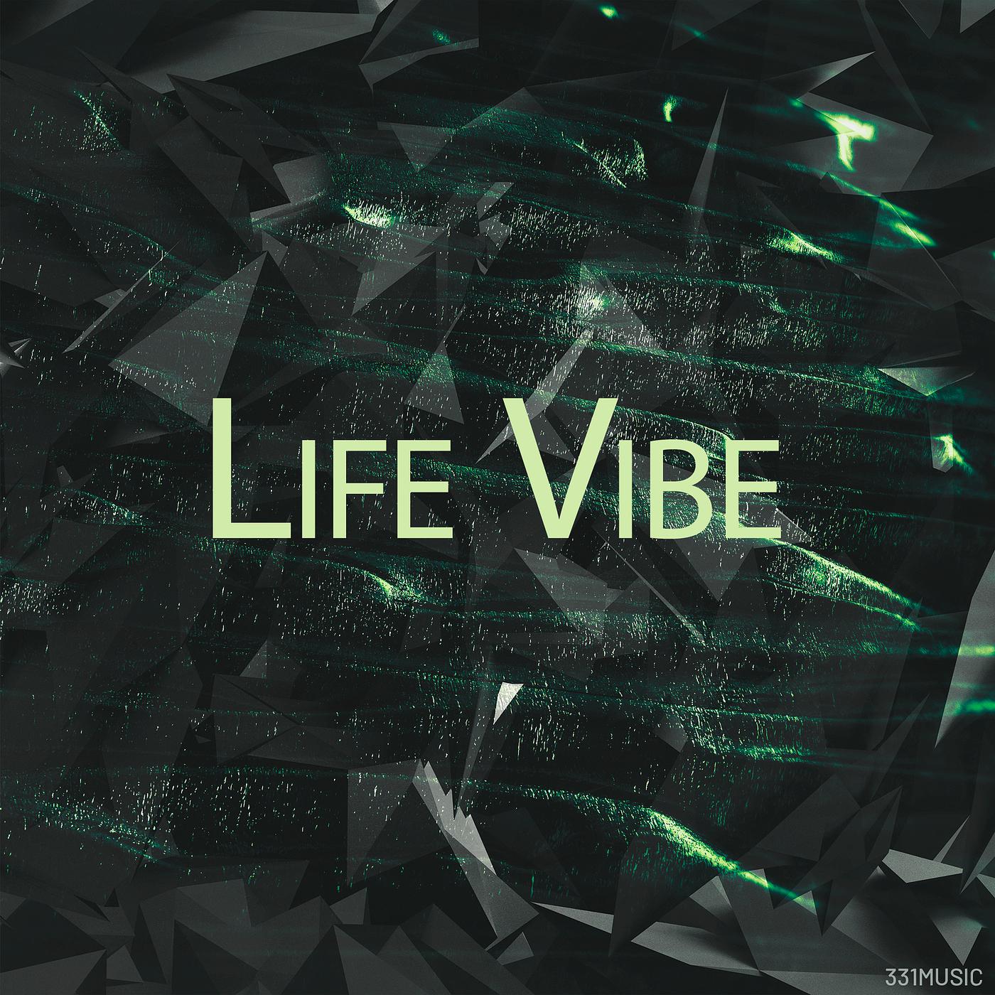 Постер альбома Life Vibe