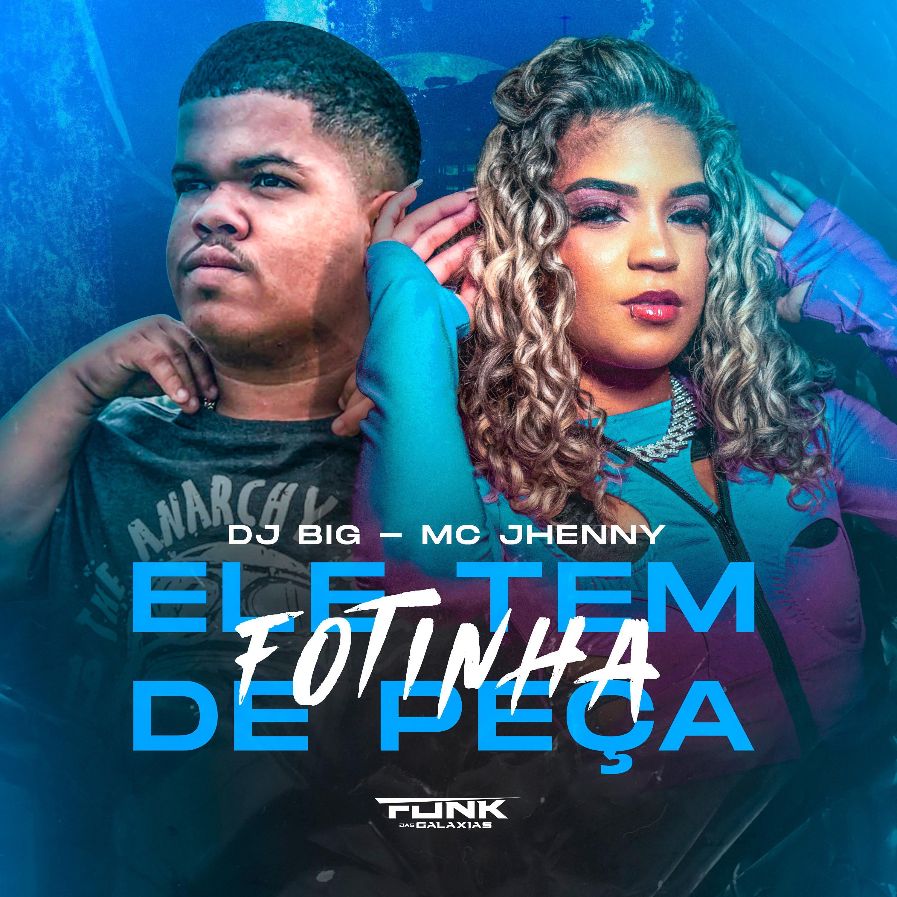 Постер альбома Ele Tem Fotinha de Peça