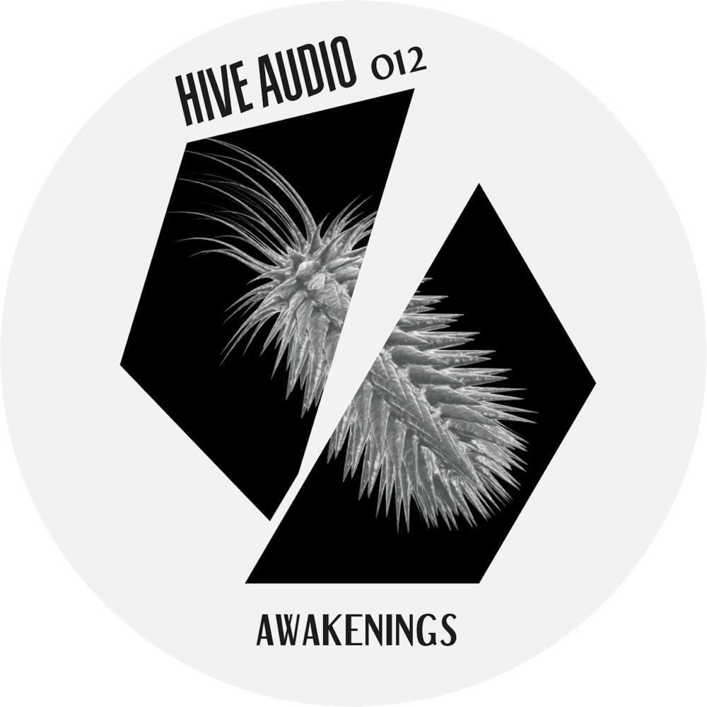 Постер альбома Awakenings