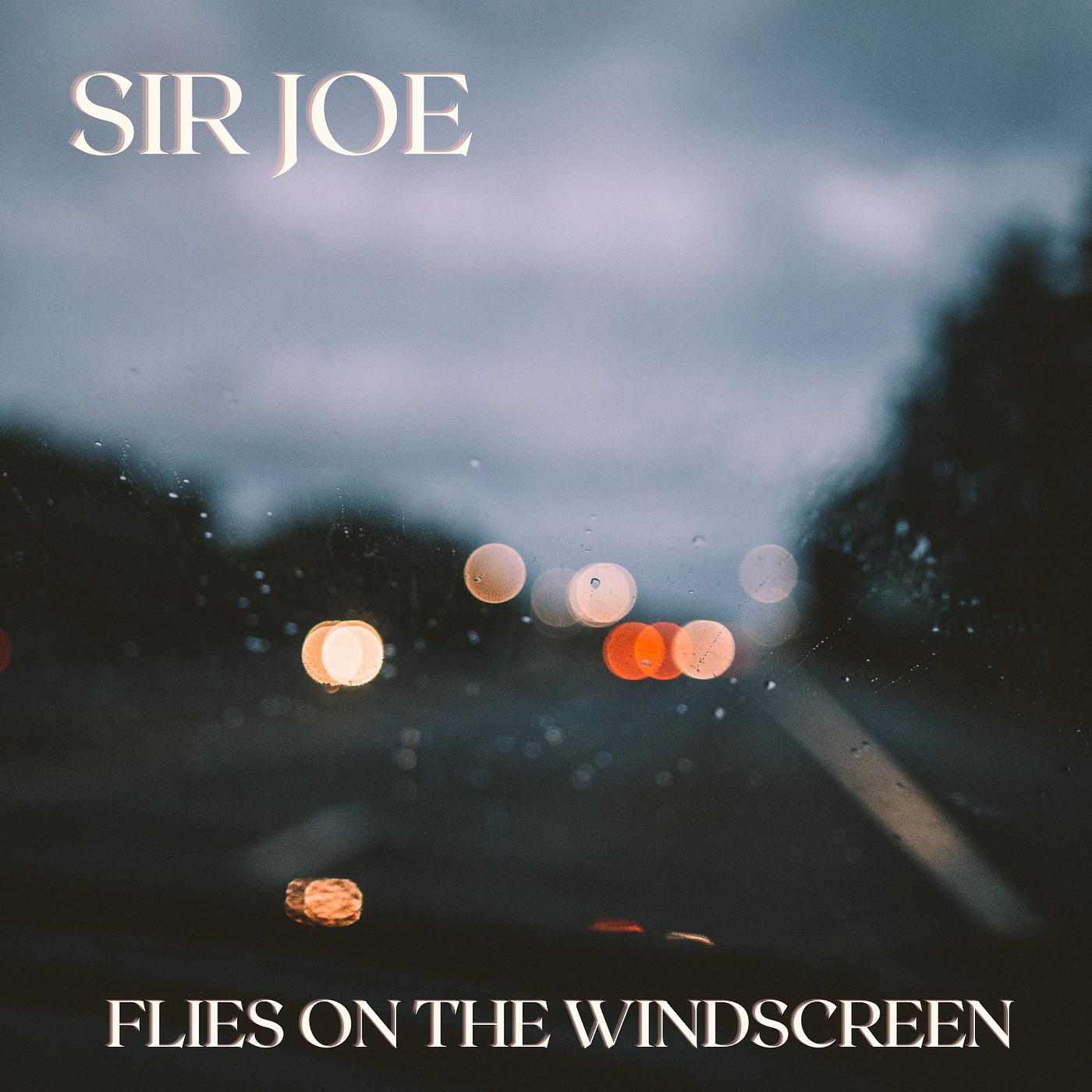 Постер альбома Flies on the Windscreen