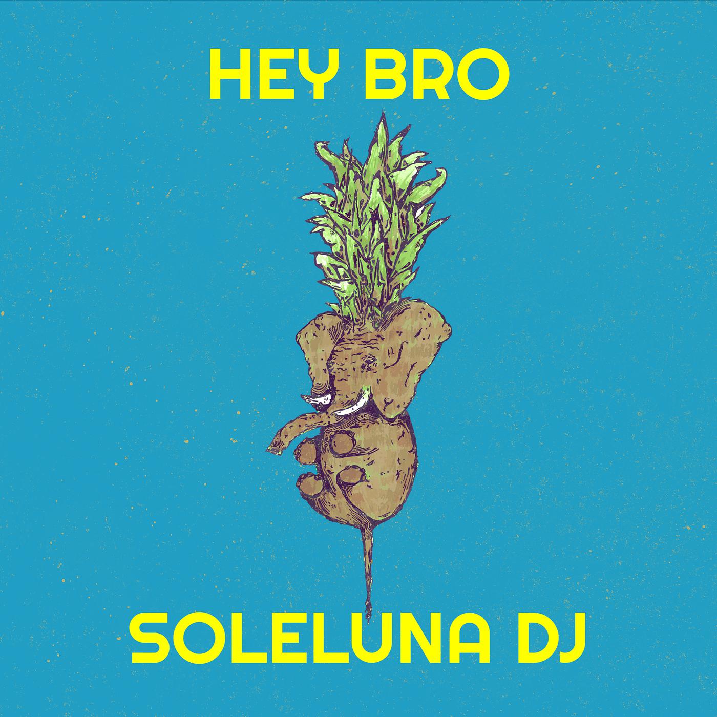Постер альбома Hey Bro