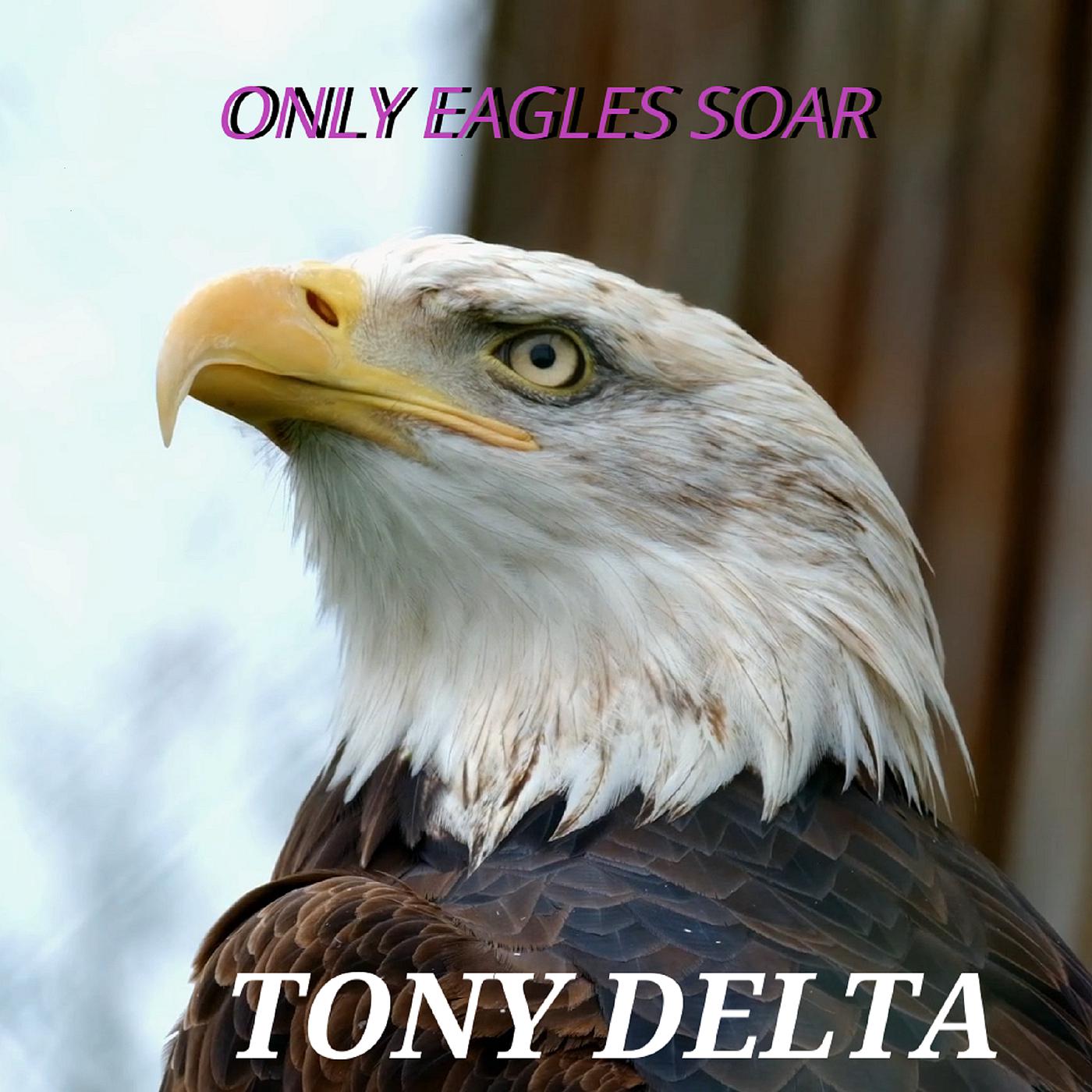 Постер альбома Only Eagles Soar