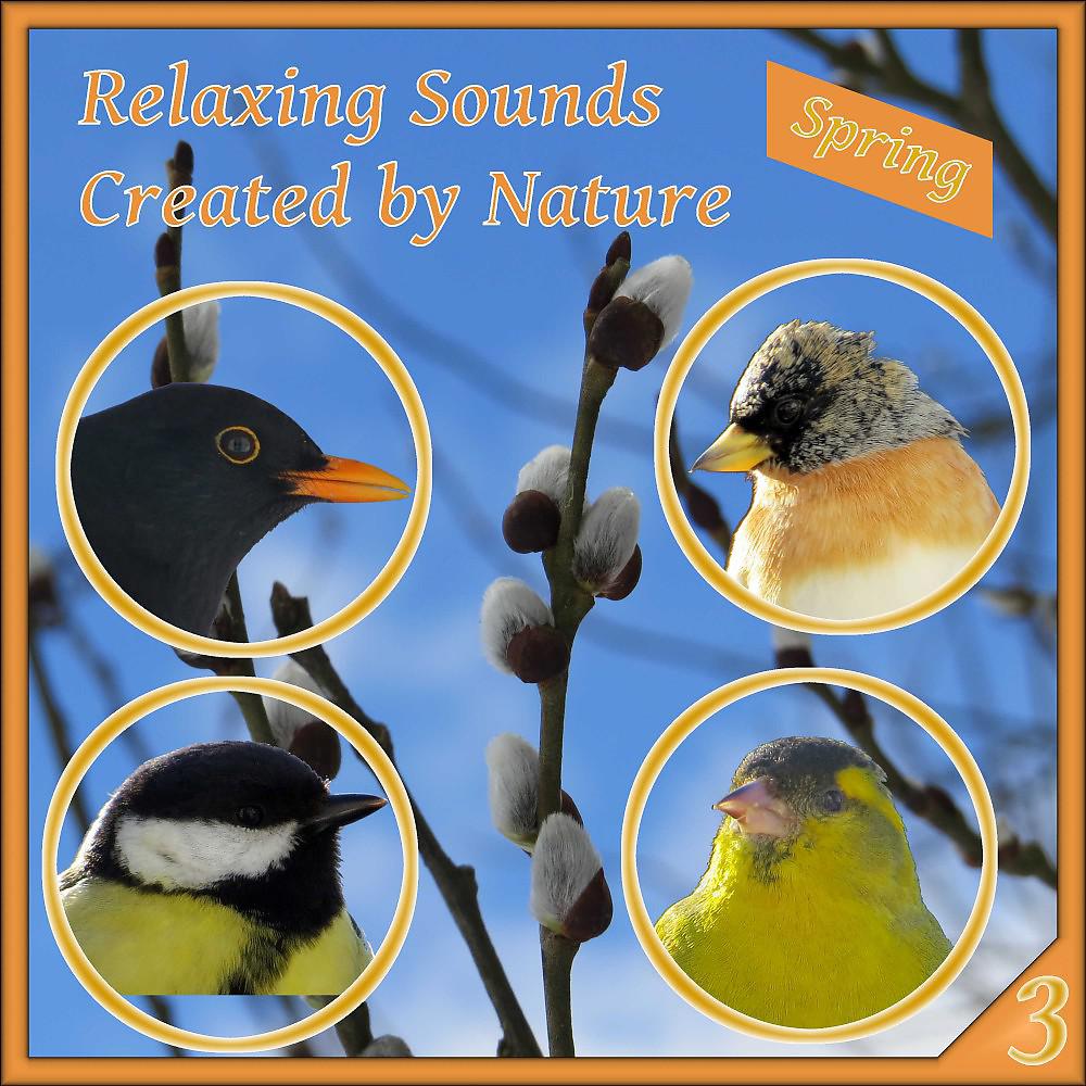 Постер альбома Relaxing Sounds Created by Nature 3 - Spring