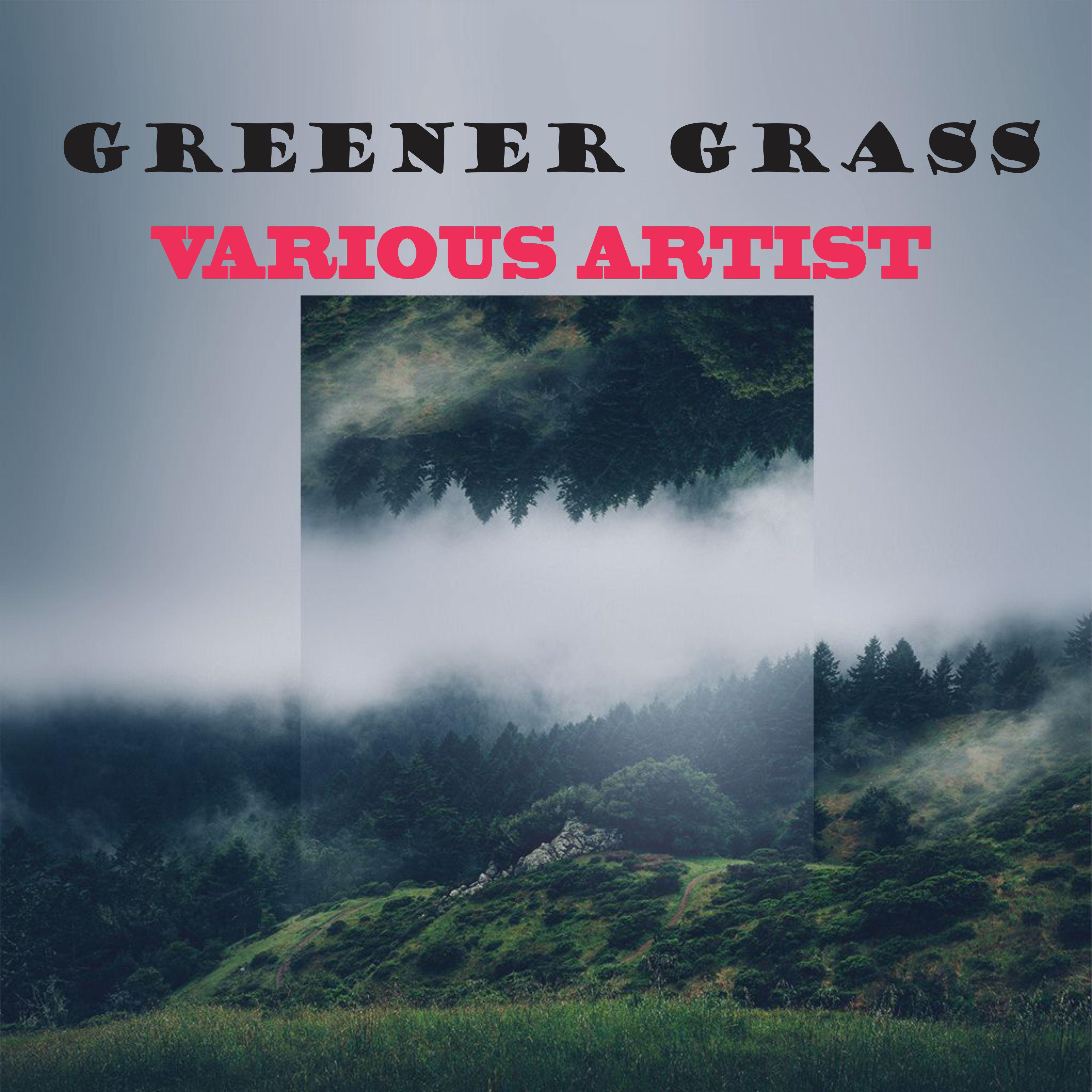 Постер альбома Greener Grass