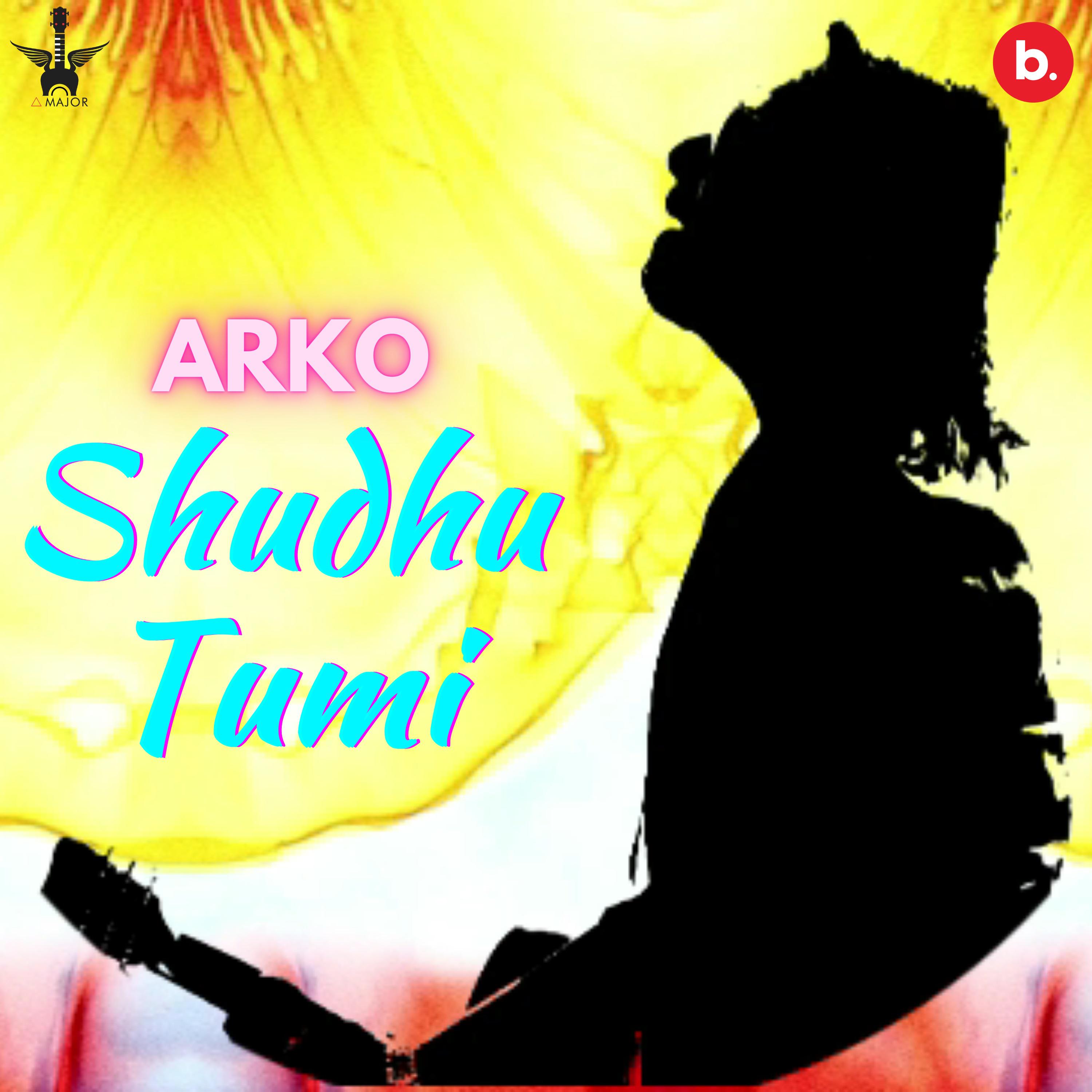 Постер альбома Shudhu Tumi