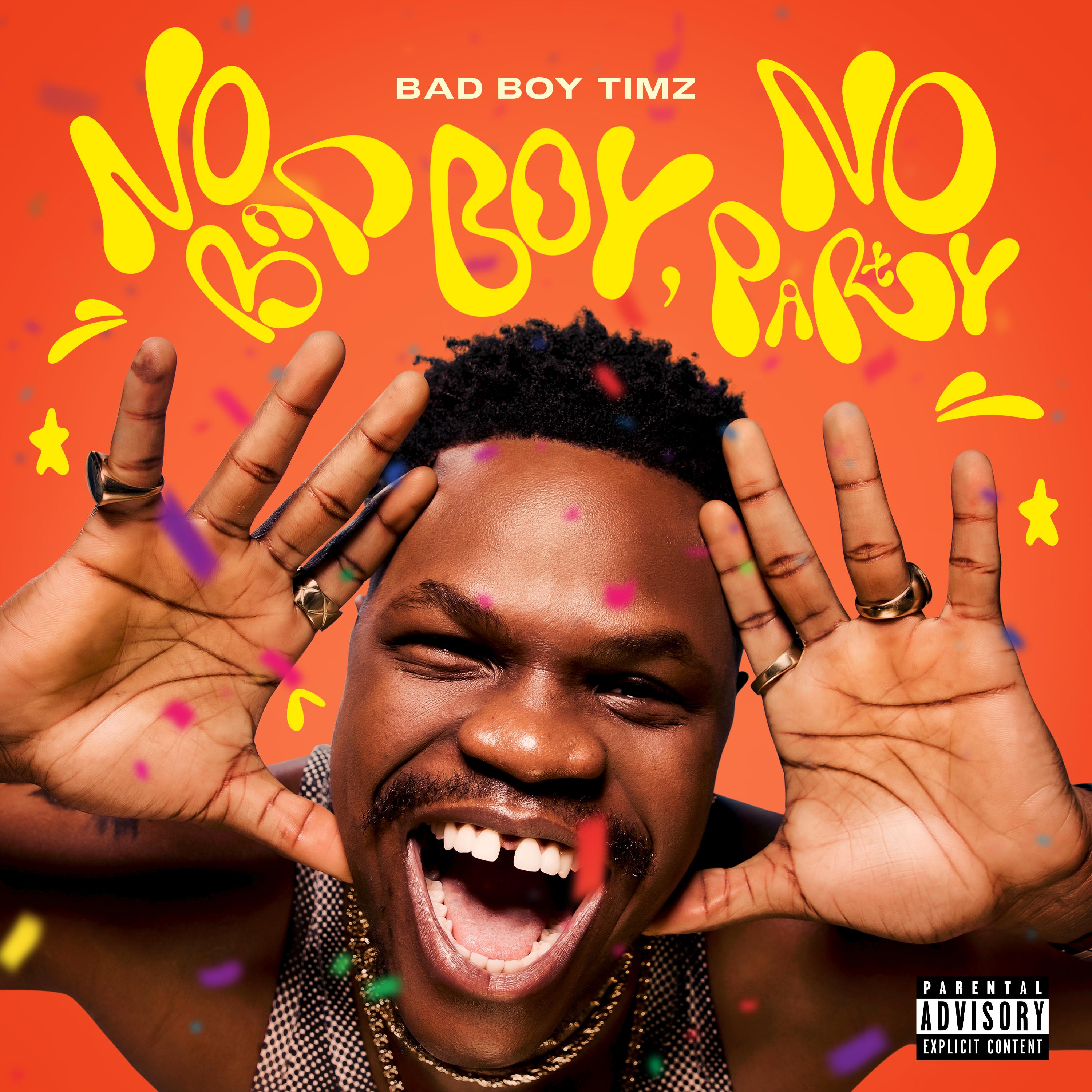 Постер альбома No Bad Boy, No Party
