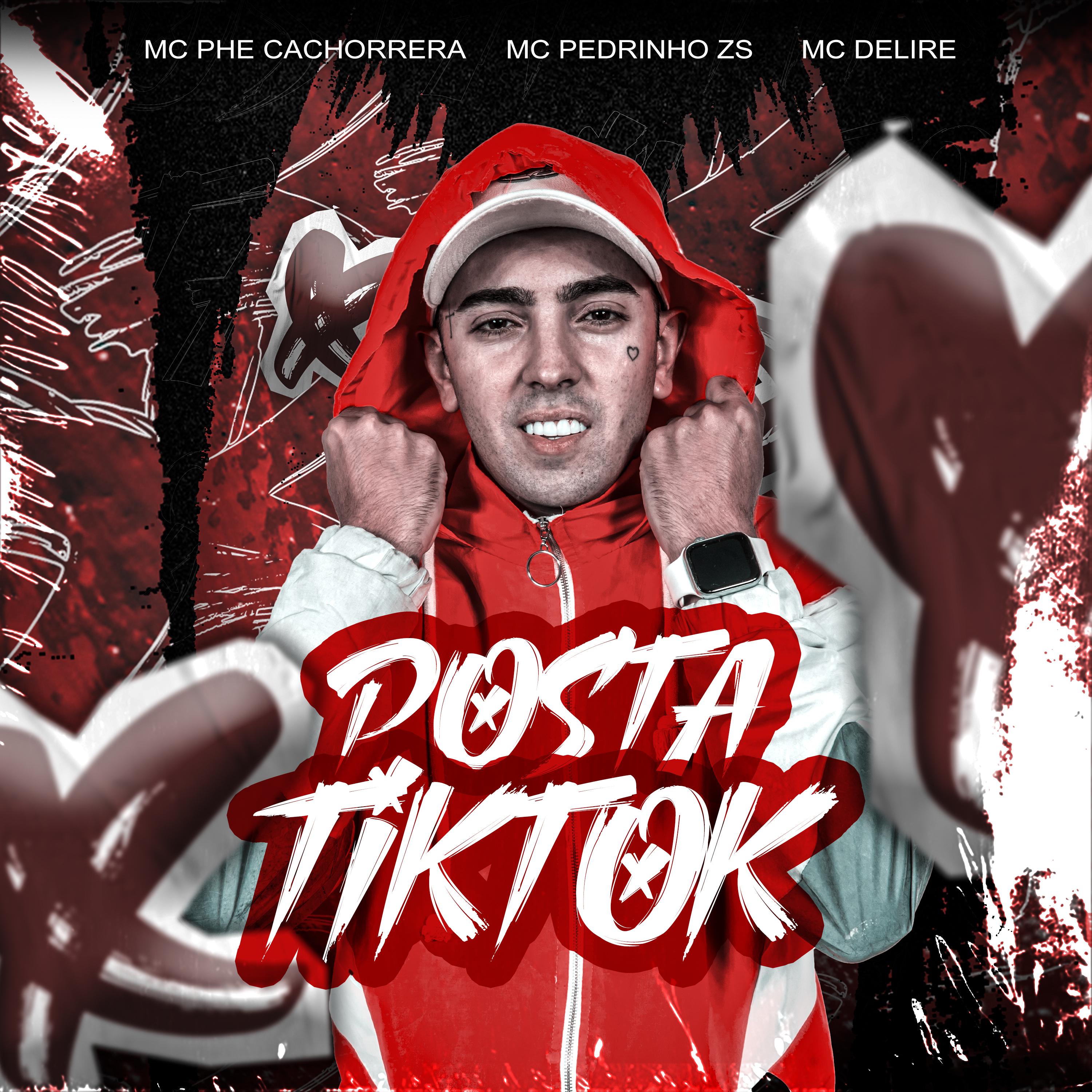 Постер альбома Posta Tiktok