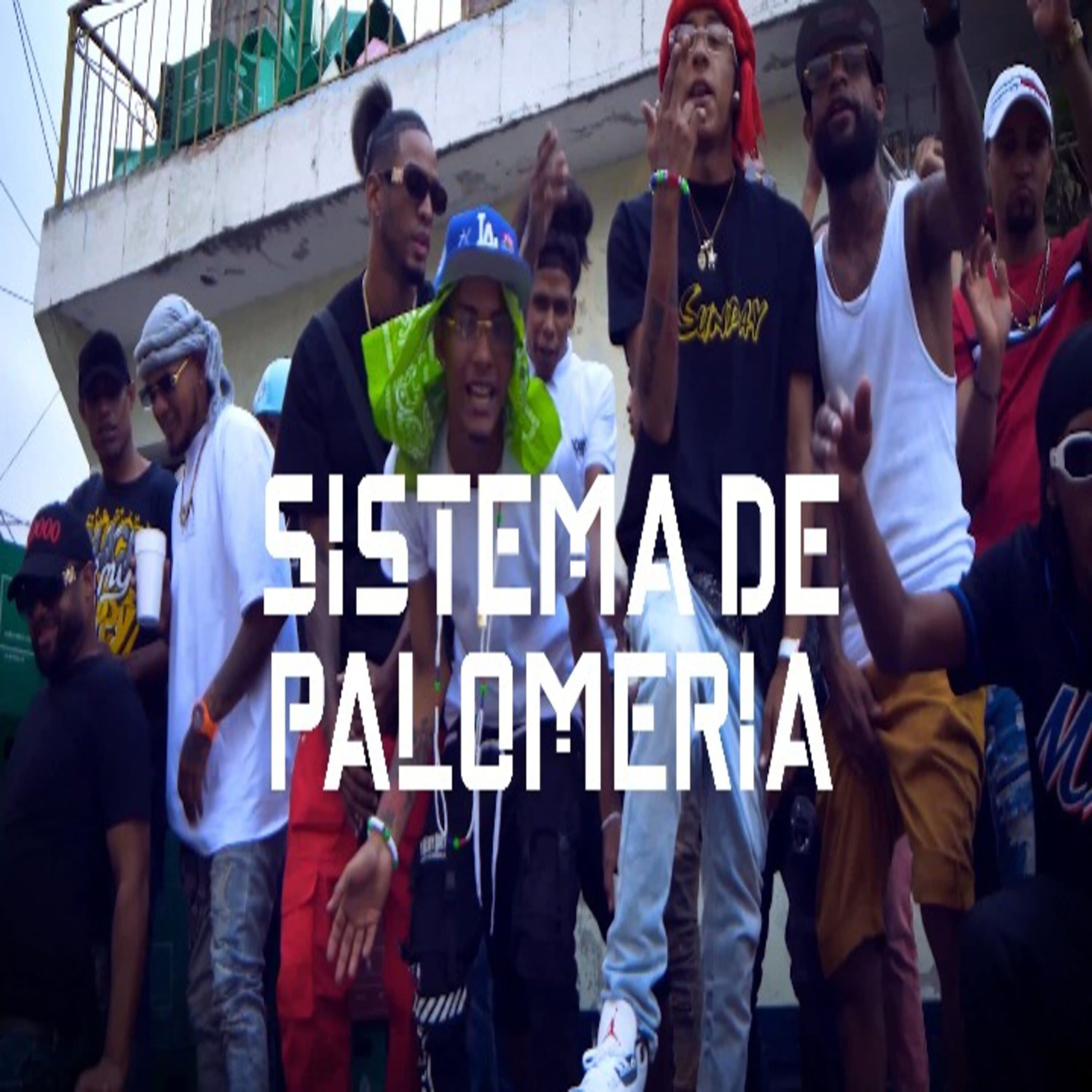 Постер альбома Sistema de Palomeria