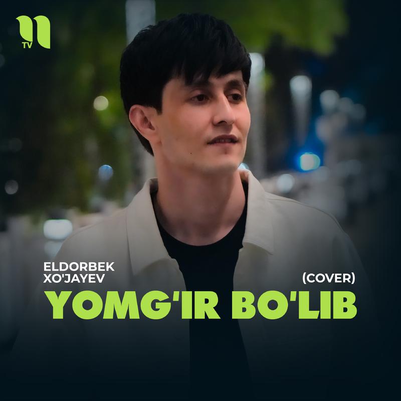 Постер альбома Yomg'ir bo'lib (cover)