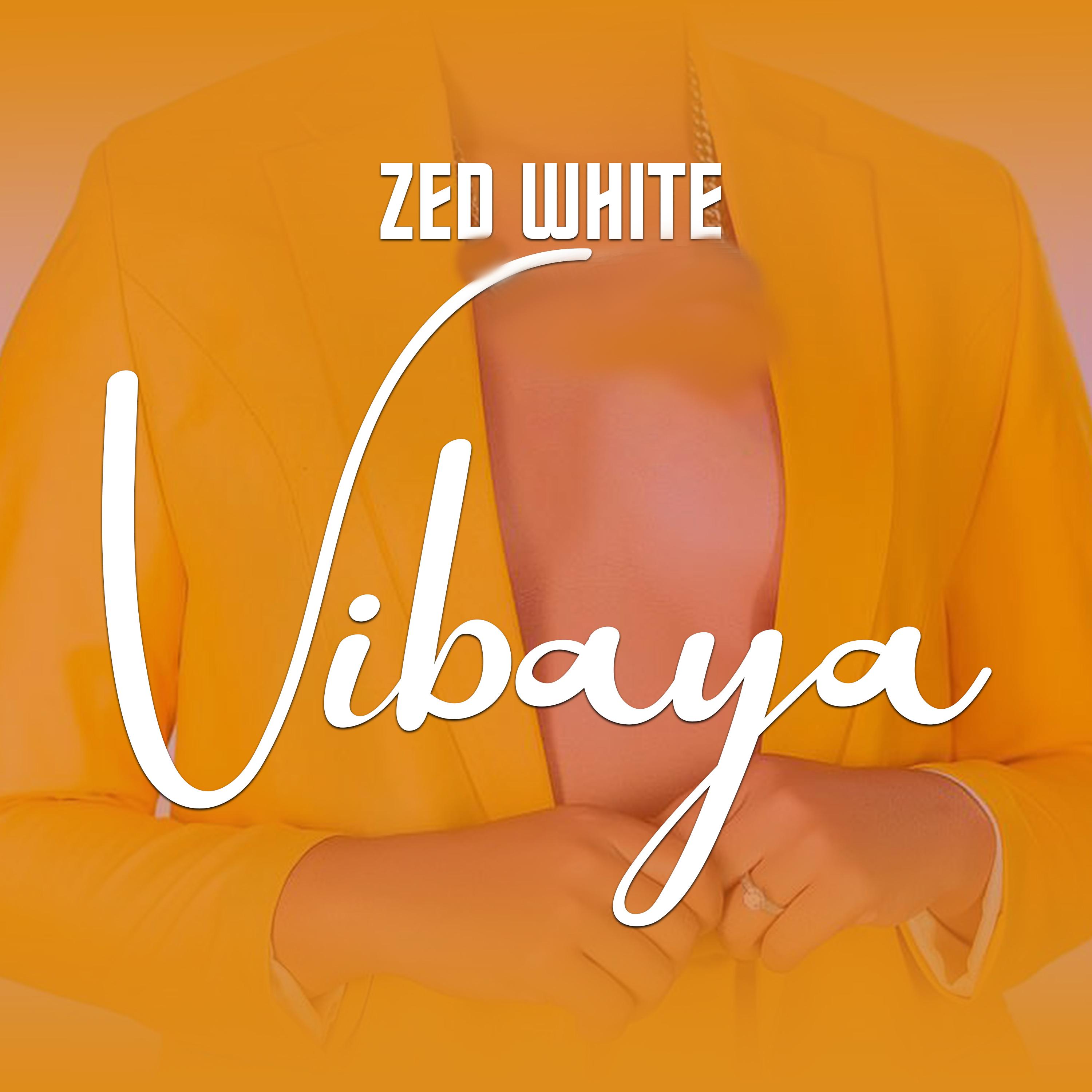 Постер альбома Vibaya