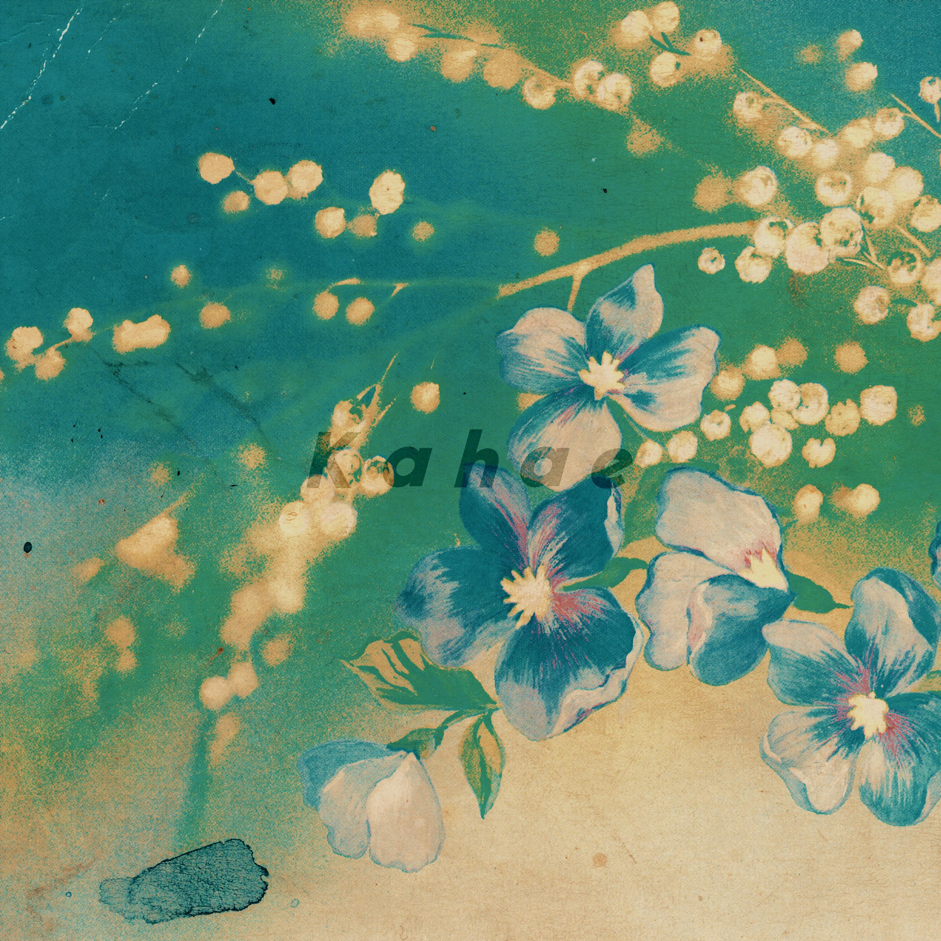 Постер альбома Beautiful Flowers For You