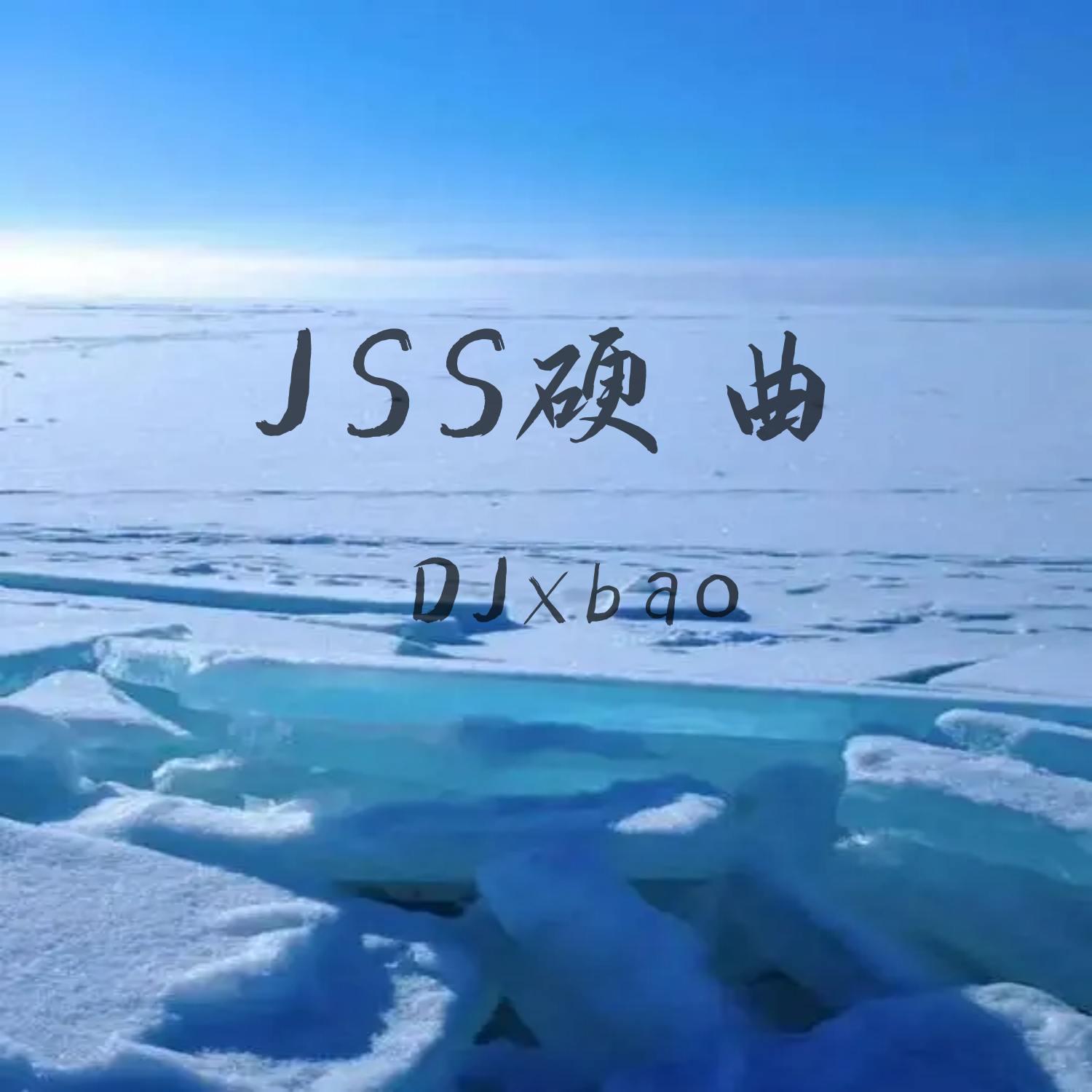 Постер альбома JSS硬曲