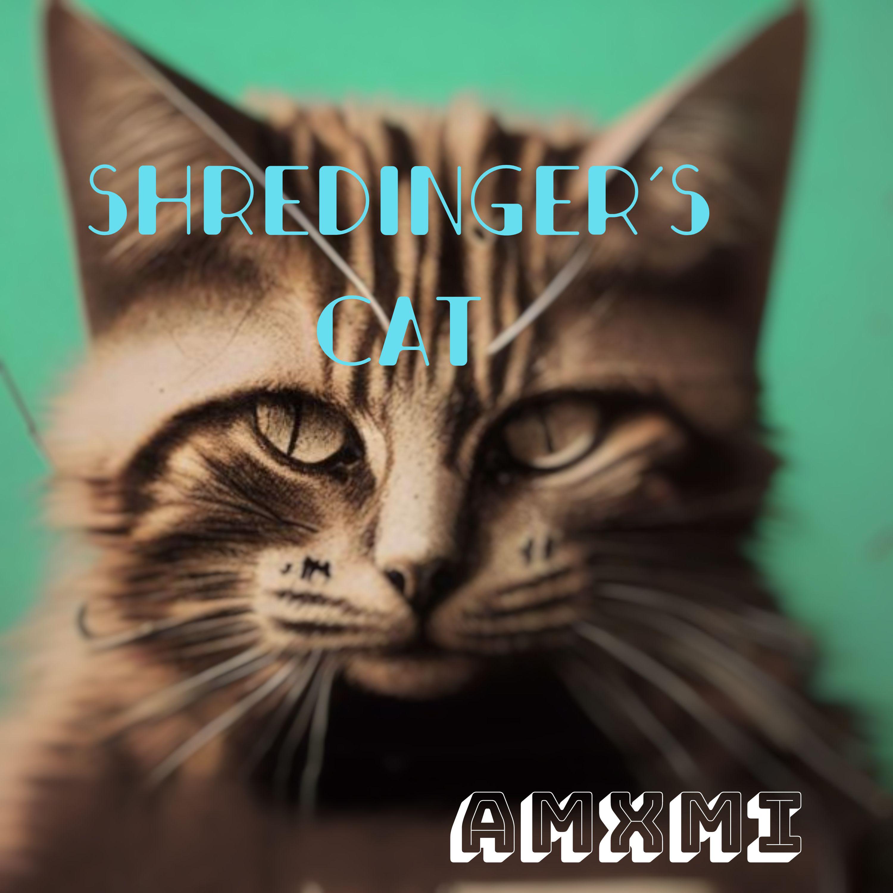 Постер альбома Shredinger's Cat