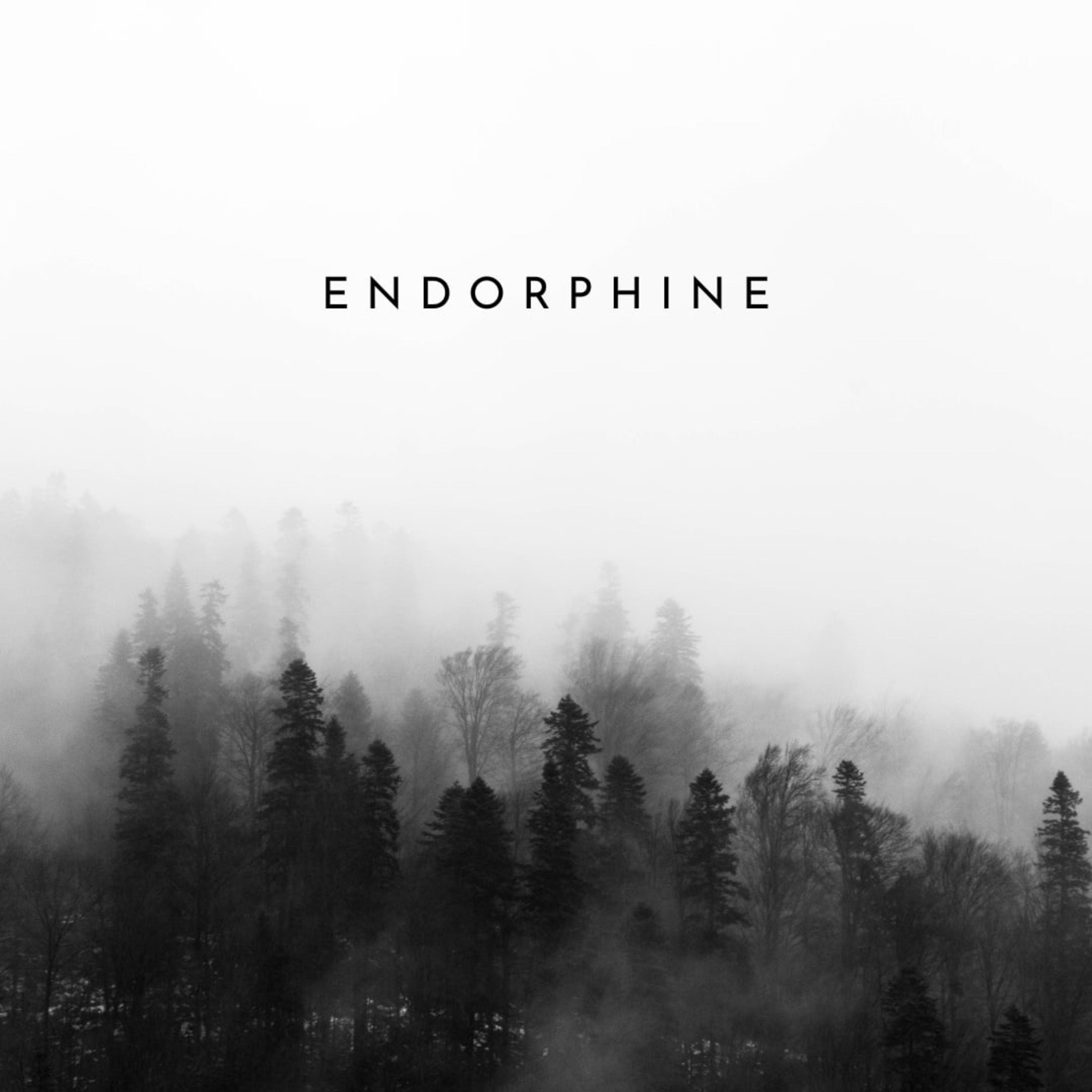 Постер альбома Endorphine