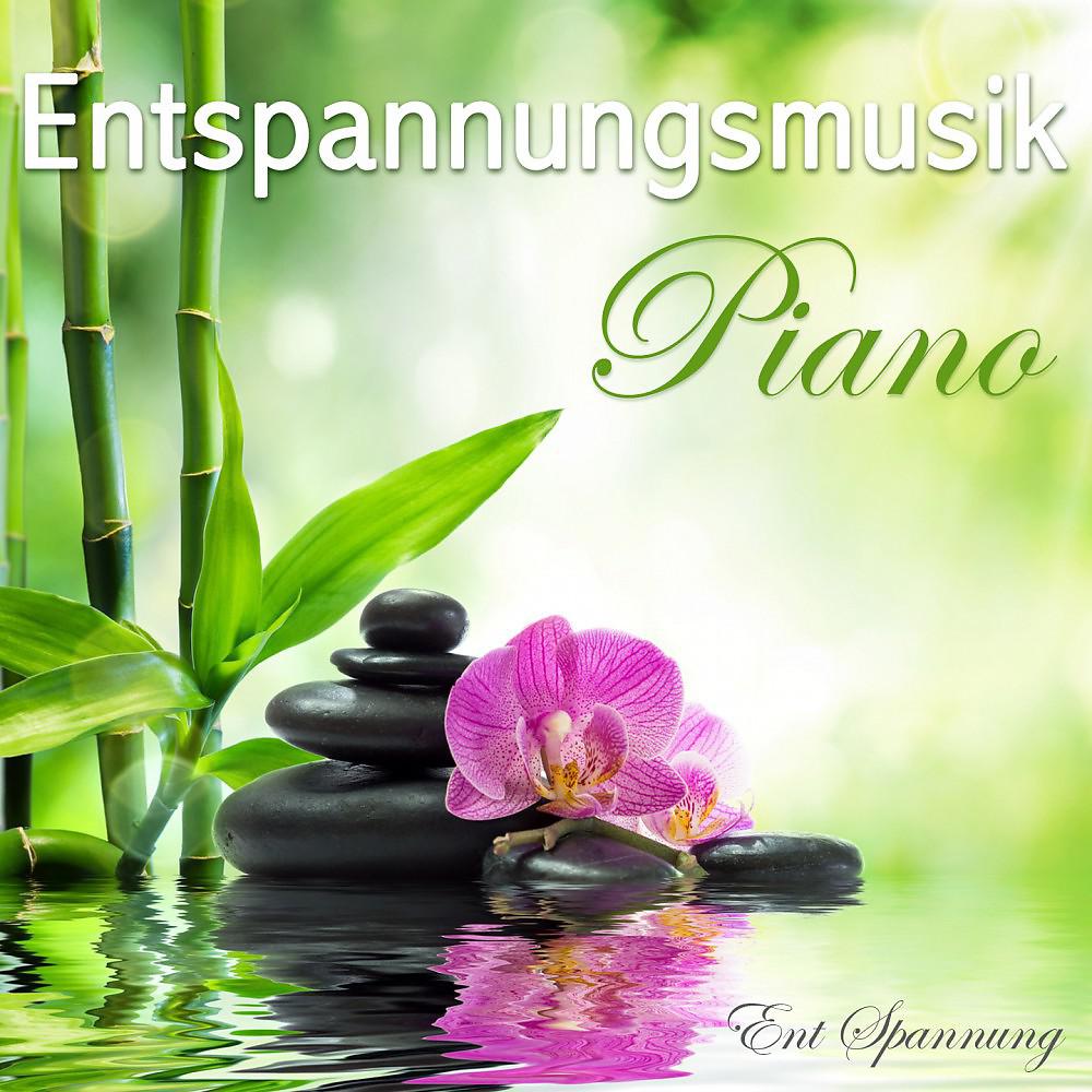 Постер альбома Entspannungsmusik Piano