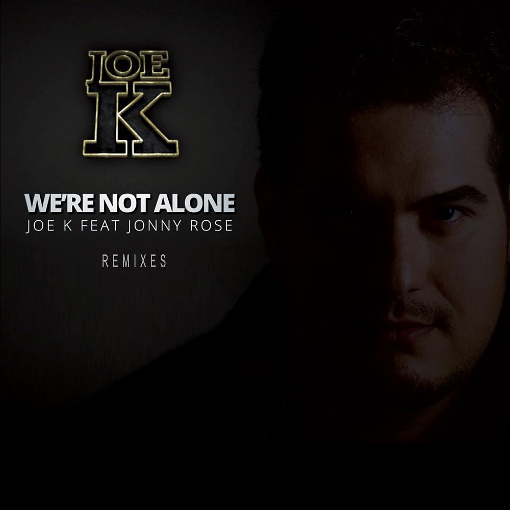 Постер альбома We're Not Alone (Remixes)