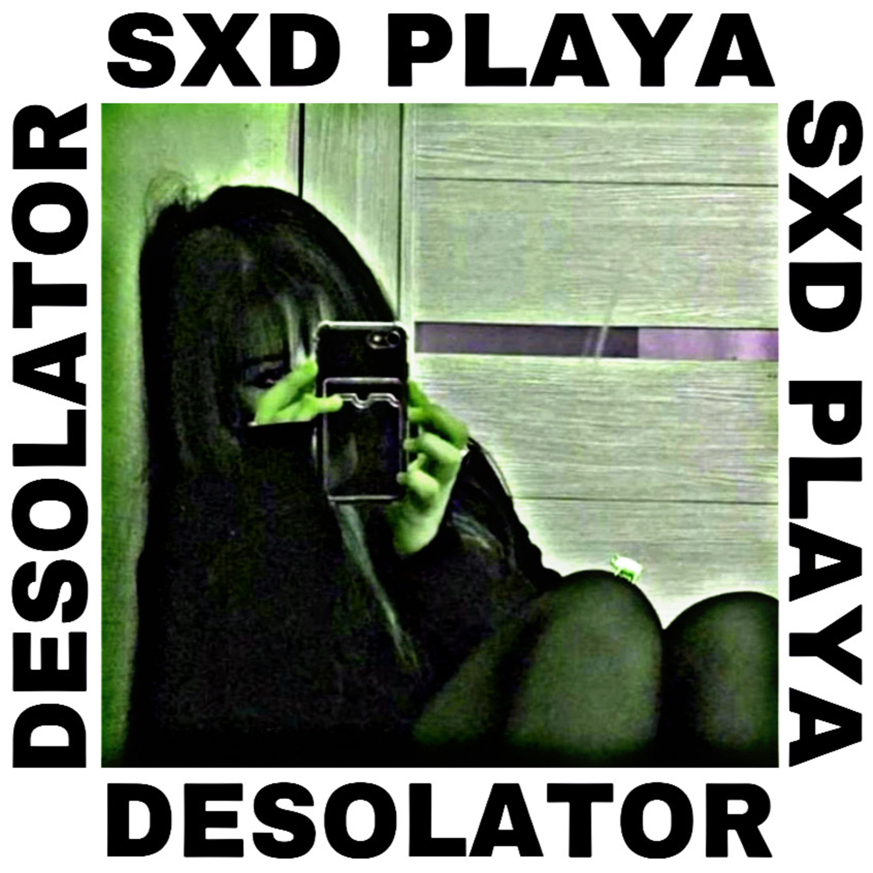Постер альбома Desolator