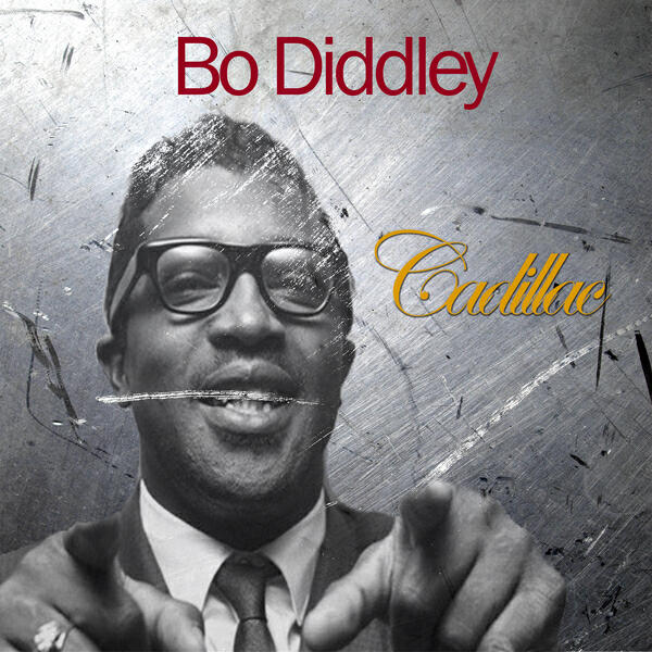Bo Diddley - You Don't Love Me (You Don't Care)