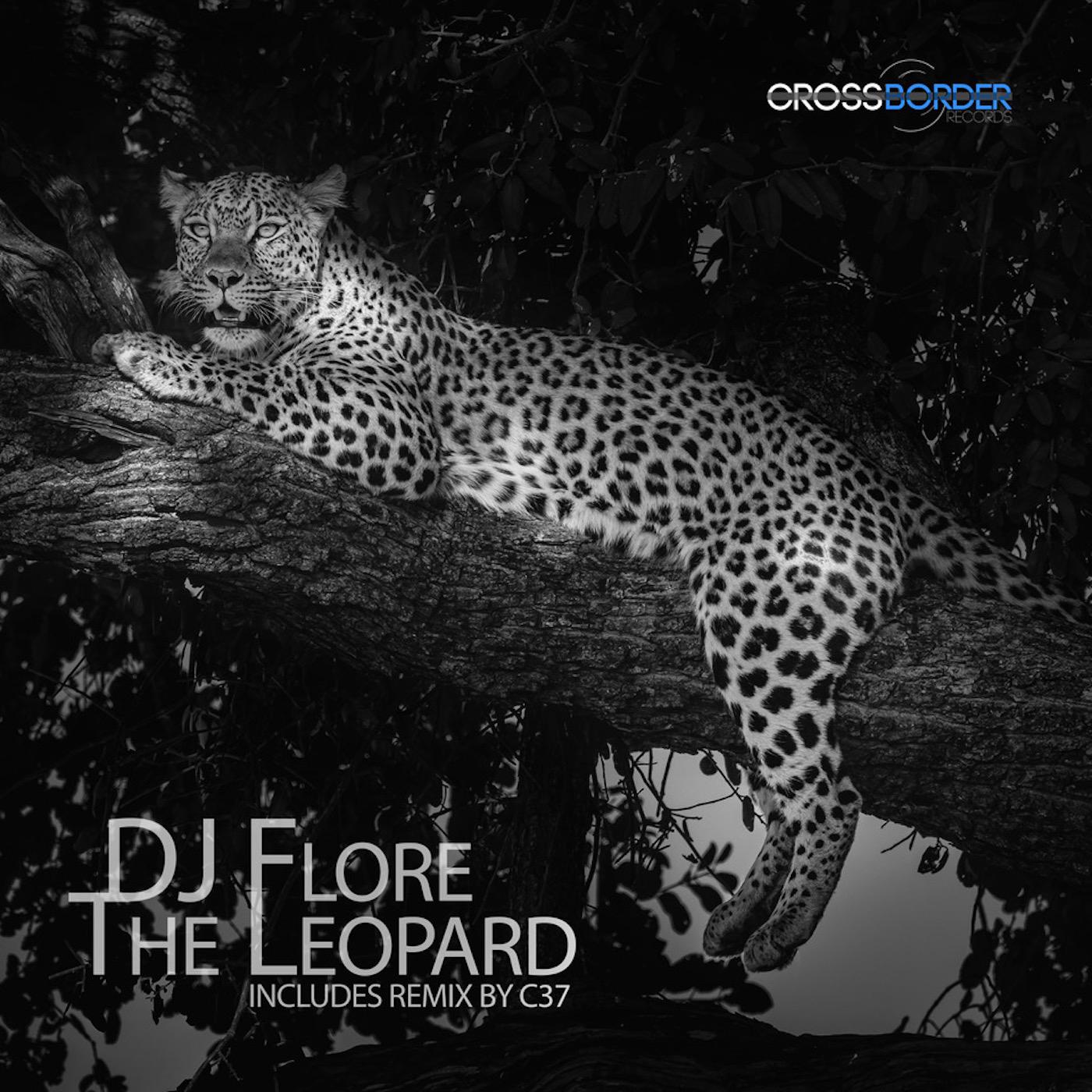 Постер альбома The Leopard