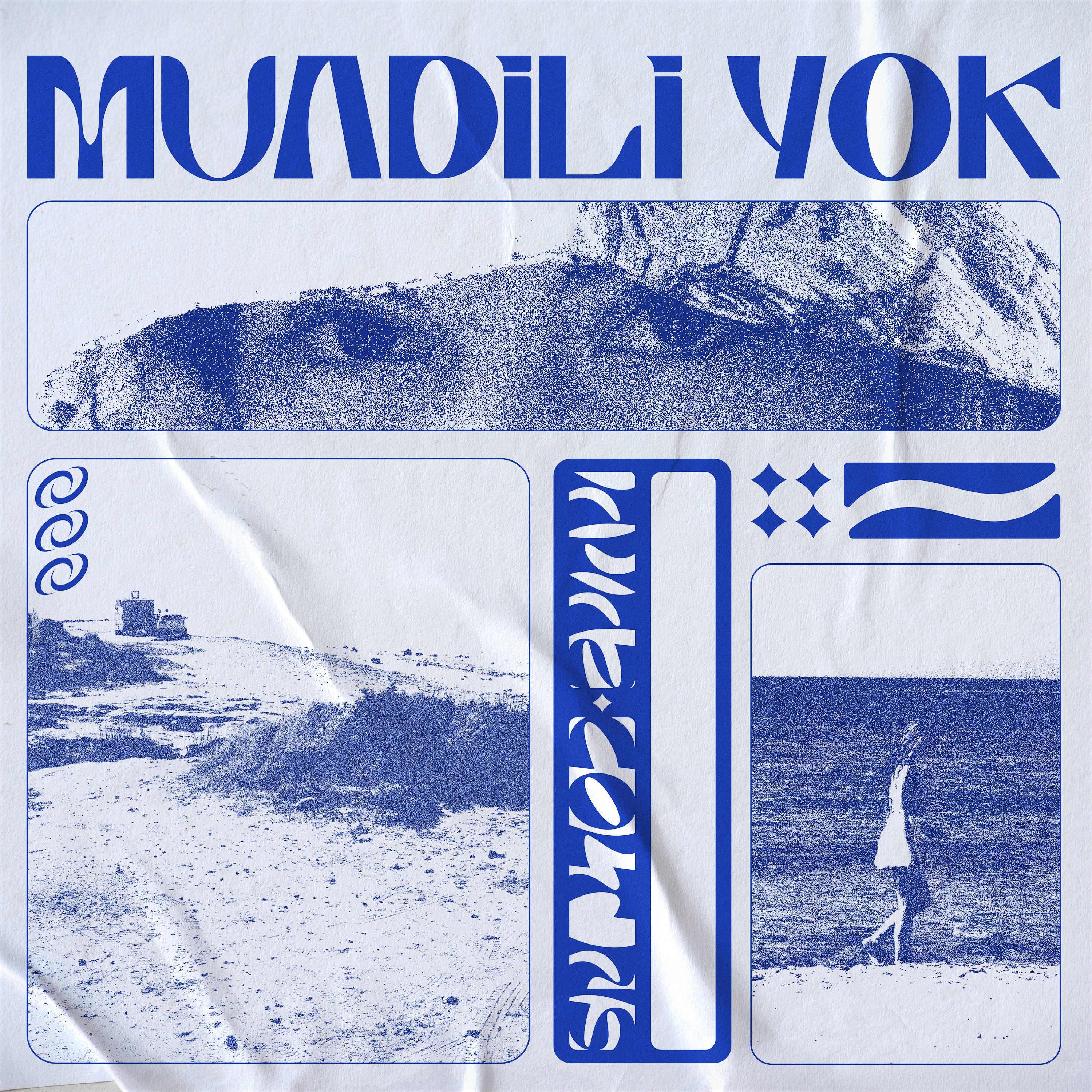 Постер альбома Muadili Yok