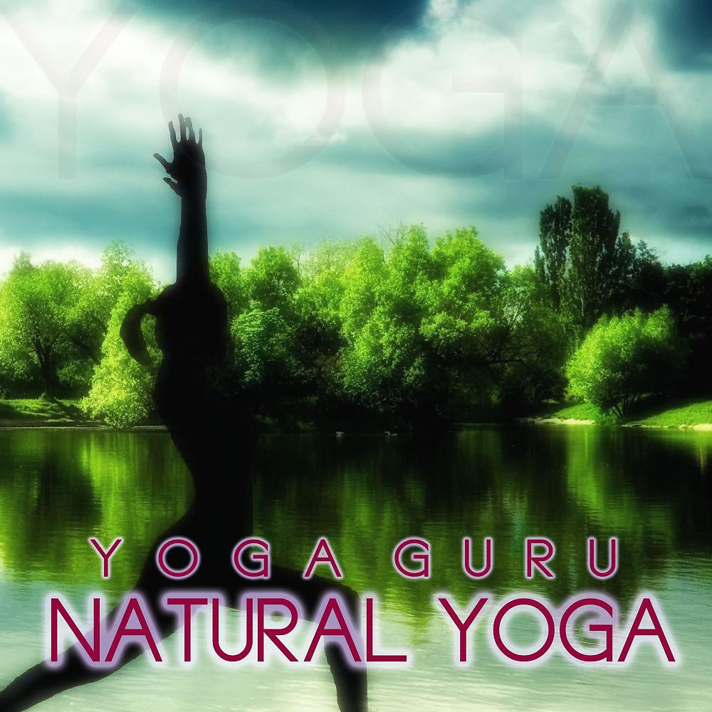 Постер альбома Natural Yoga