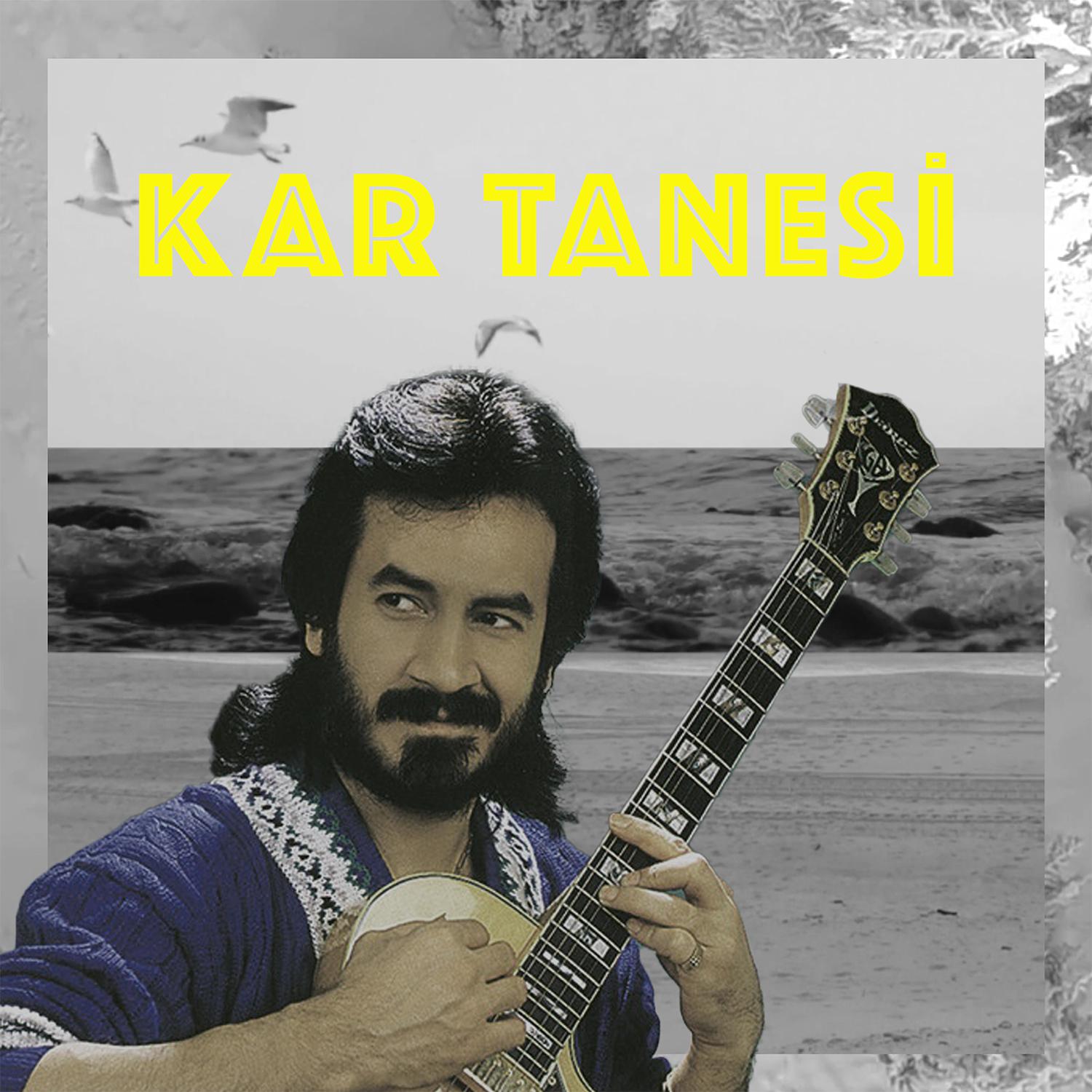 Постер альбома Kar Tanesi