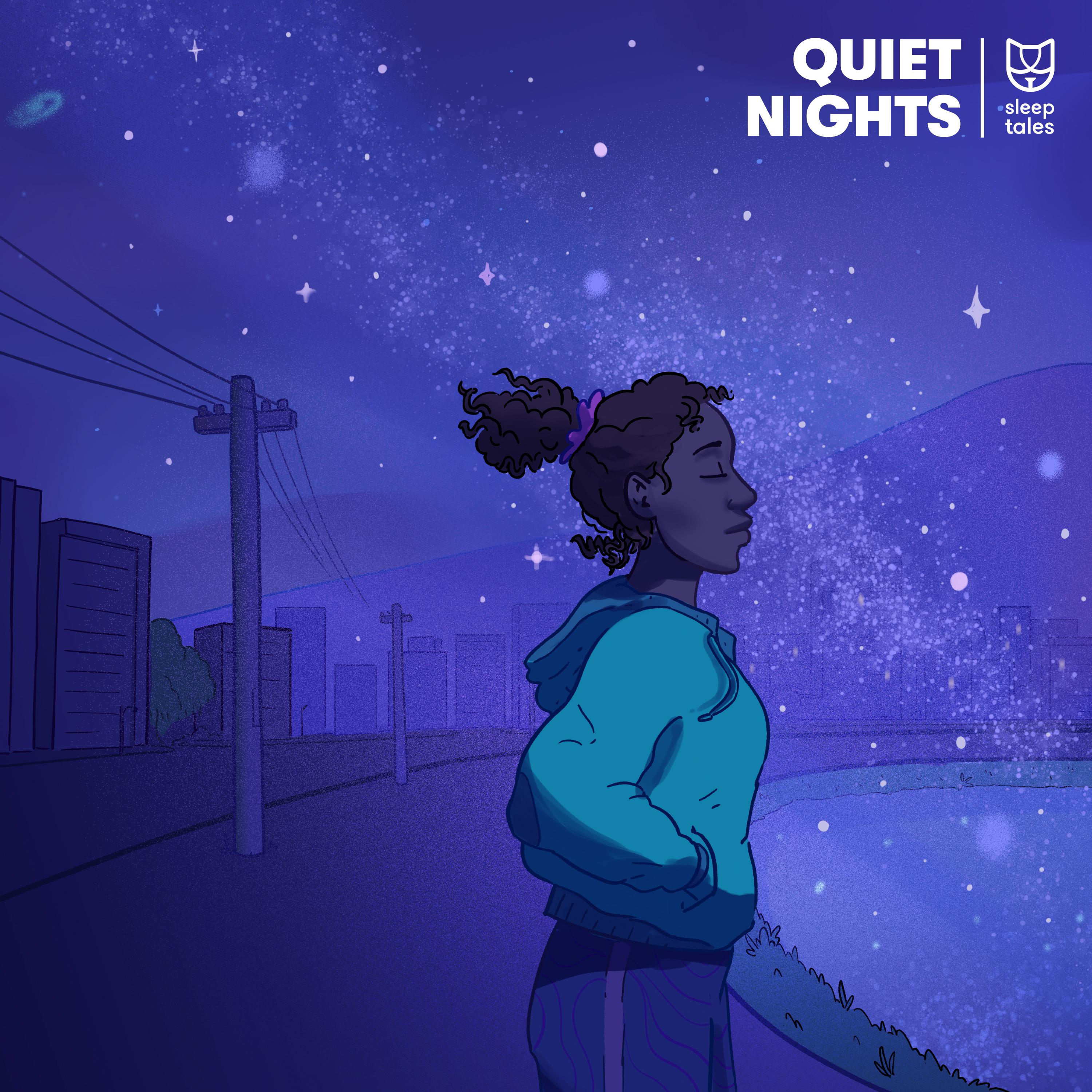 Постер альбома Quiet Nights