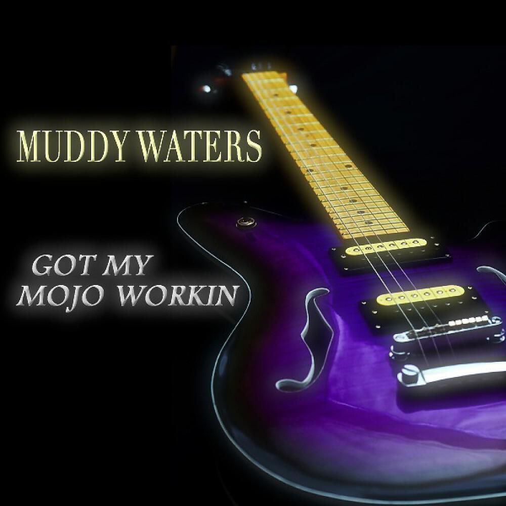 Muddy Waters - I Wanna Put a Tiger in Your Tank (Live)