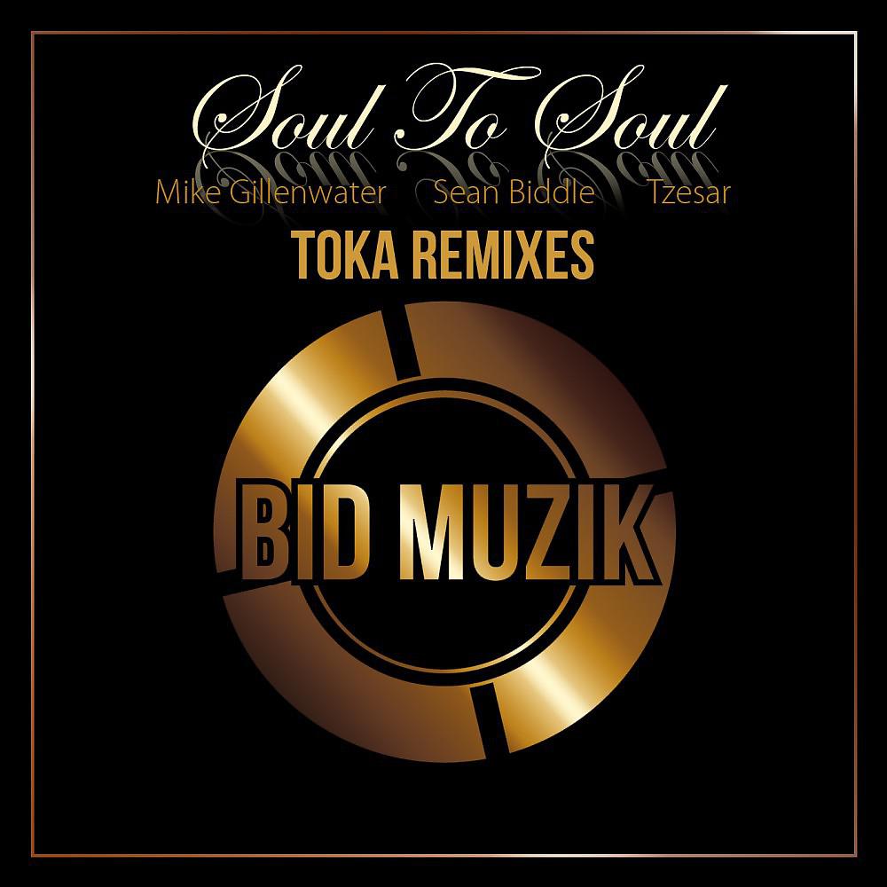 Mike Gillenwater - Soul to Soul (Toka Souldub)